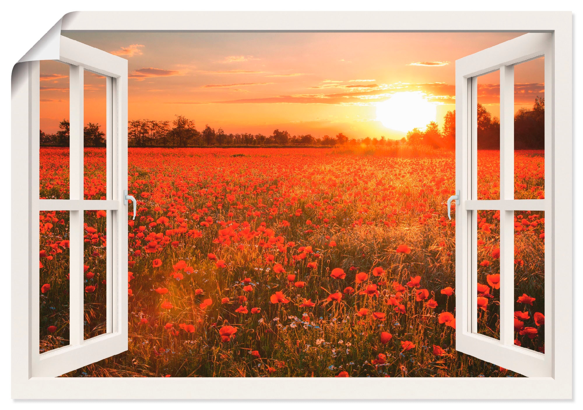 Artland Wandbild "Fensterblick Mohnblumenfeld" Blumen 1 Stk. tlg. als Leinw günstig online kaufen