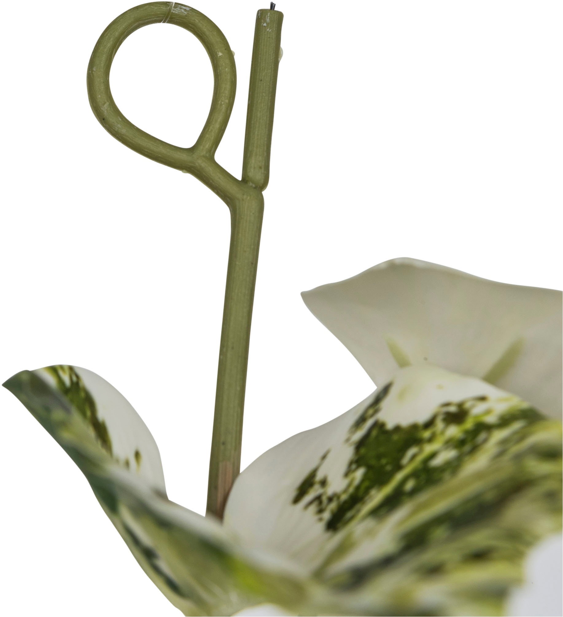 Thumbnail - Creativ green Kunstranke "Scindapsusranke" mit üppigem Blattwerk