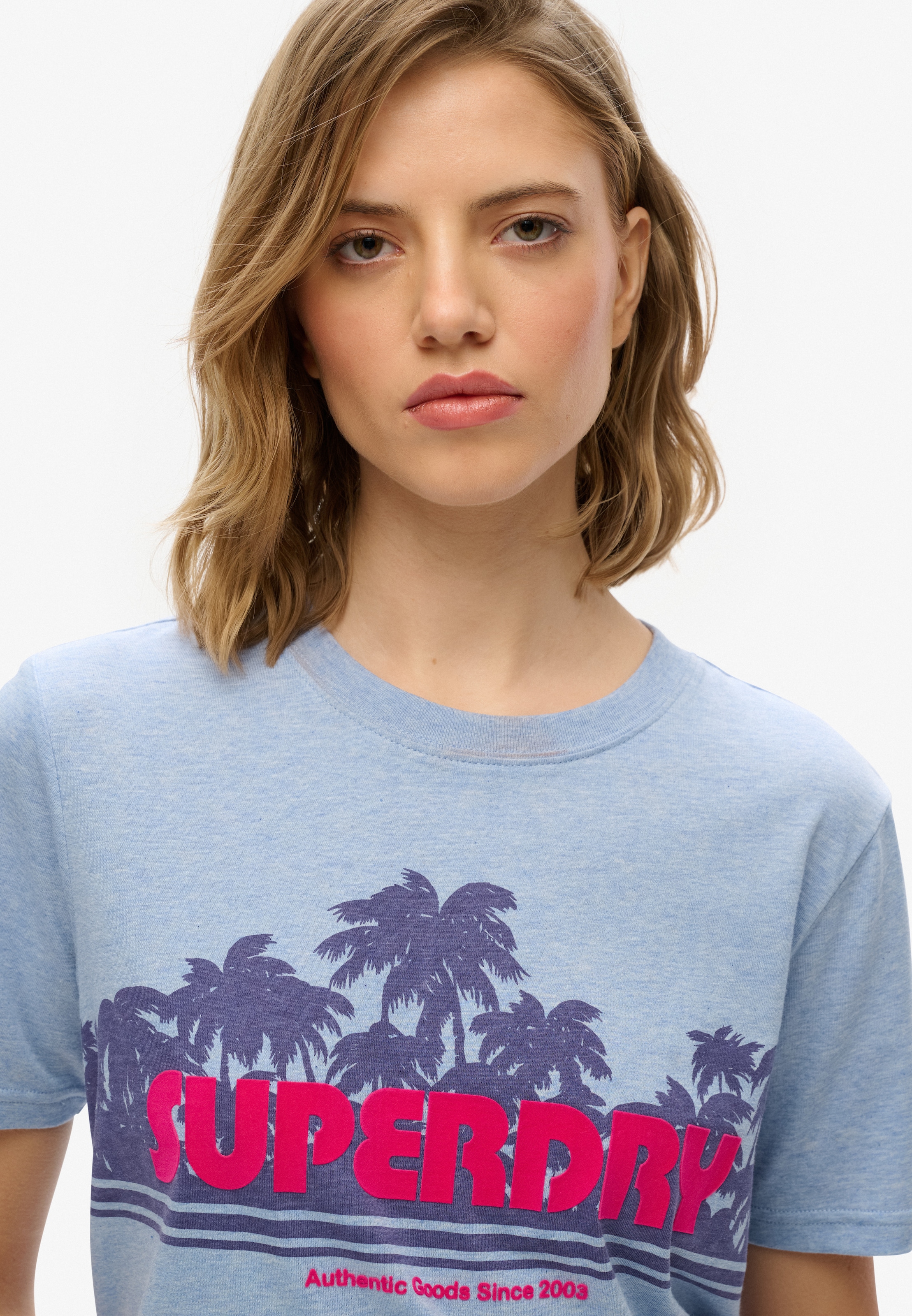 Superdry Kurzarmshirt »OUTDOOR STRIPE RELAXED TEE«