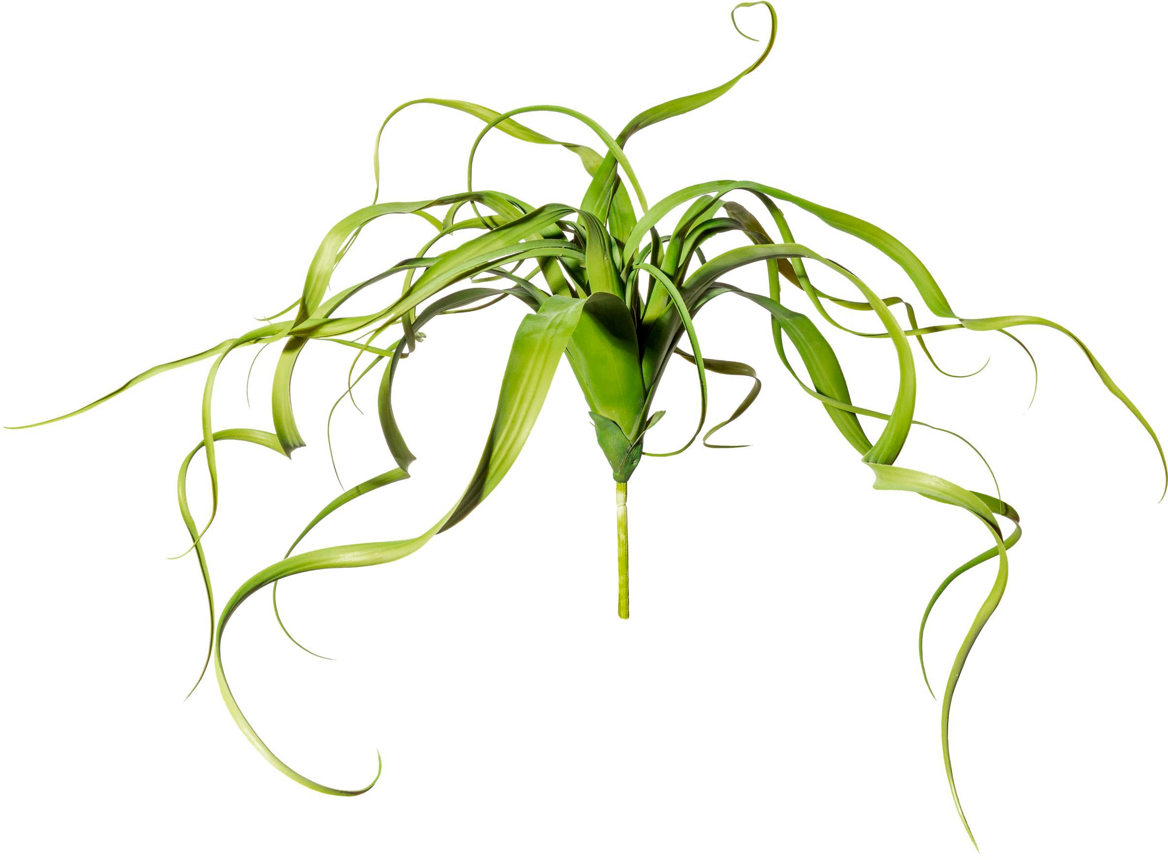 Creativ green Kunstranke »Farnpflanze«, BAUR toller in | bestellen Größe