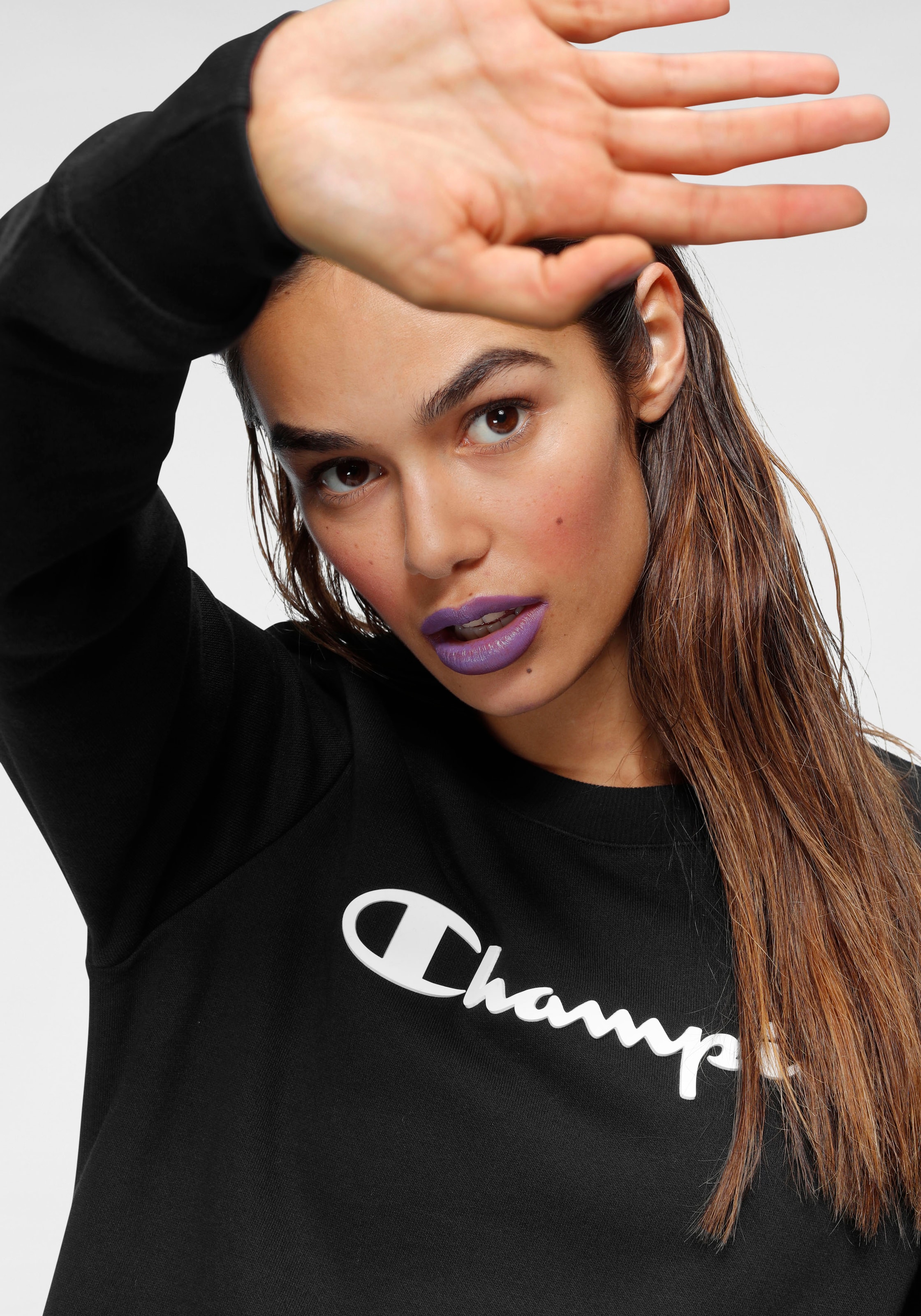 Champion Sweatshirt