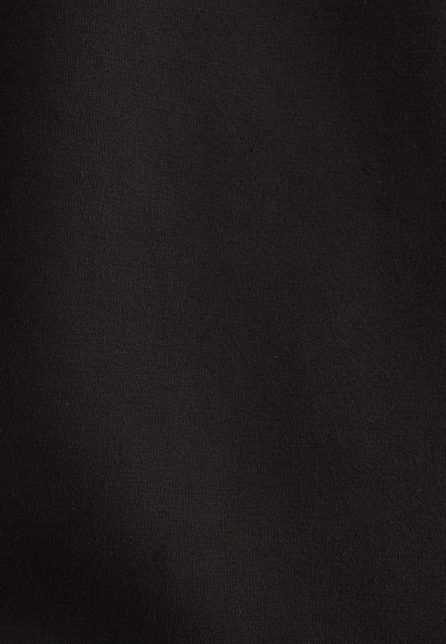 seidensticker Hemdbluse »Schwarze Rose«, Langarm Kragen Uni