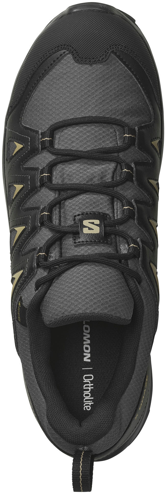Salomon Wanderschuh »X BRAZE GORE-TEX«, wasserdicht