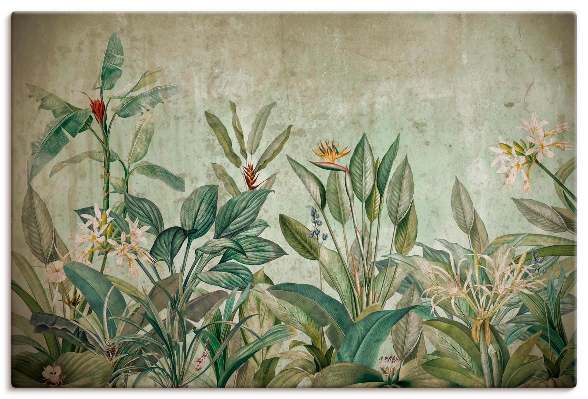 Artland Wandbild "Exotische Dschungel Landschaft" Blumenwiese 1 Stk. tlg. als Alubild, Leinwandbild, Poster, Wandaufkleber in verschied. Größen