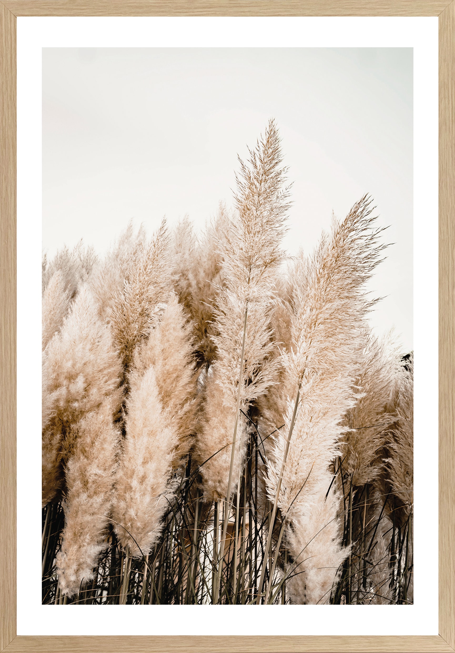 | Gräser, cm Bönninghoff BxH: Rahmen St.), mit (1 kaufen 50x70 Bild BAUR »Trockenblumen«,