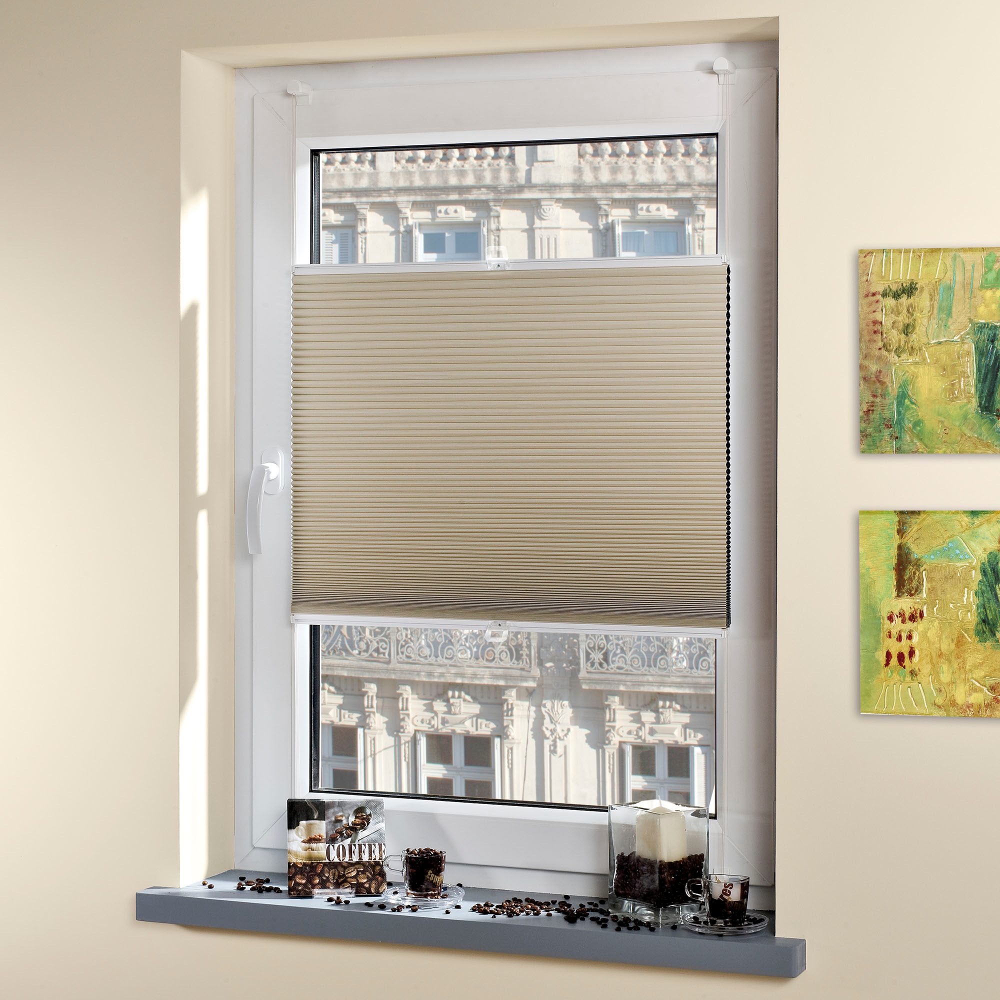 Liedeco Plissee "Klemmfix-Thermo-Plissee" Lichtschutz ohne Bohren verspannt günstig online kaufen