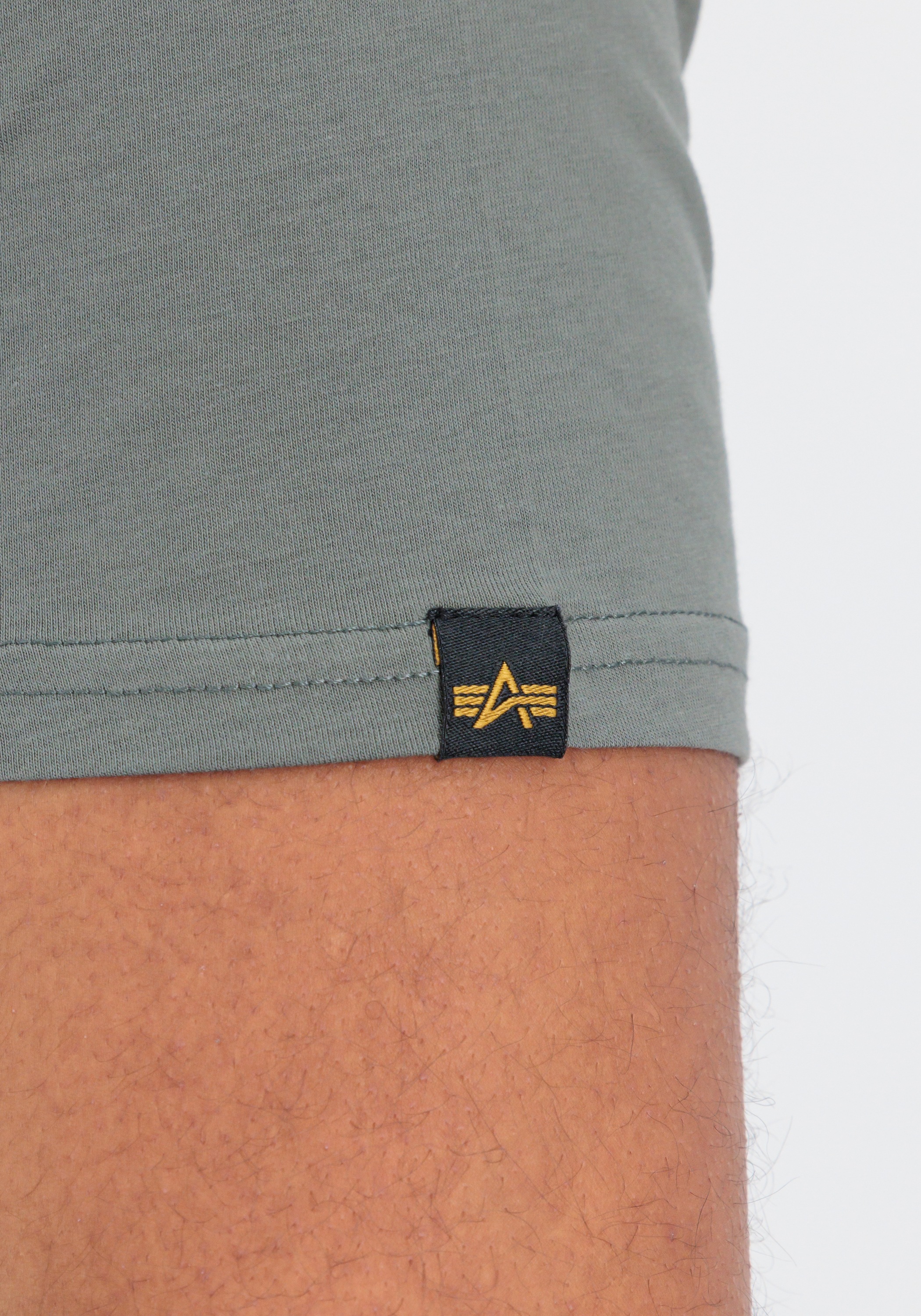 Alpha Industries T-Shirt »Basic T-Shirt BL Rainbow Ref. T-Shirt«