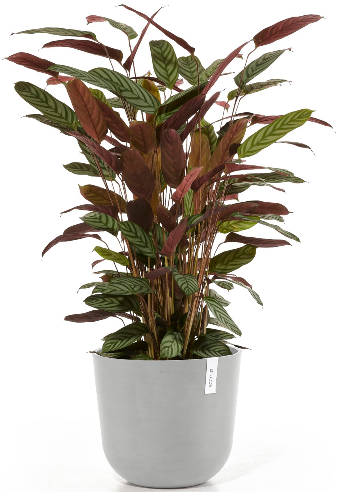 ECOPOTS Blumentopf »Oslo 35 + Wassersystem Weißgrau«, für innen und außen: frostsicher, bruchsicher und lichtbeständig