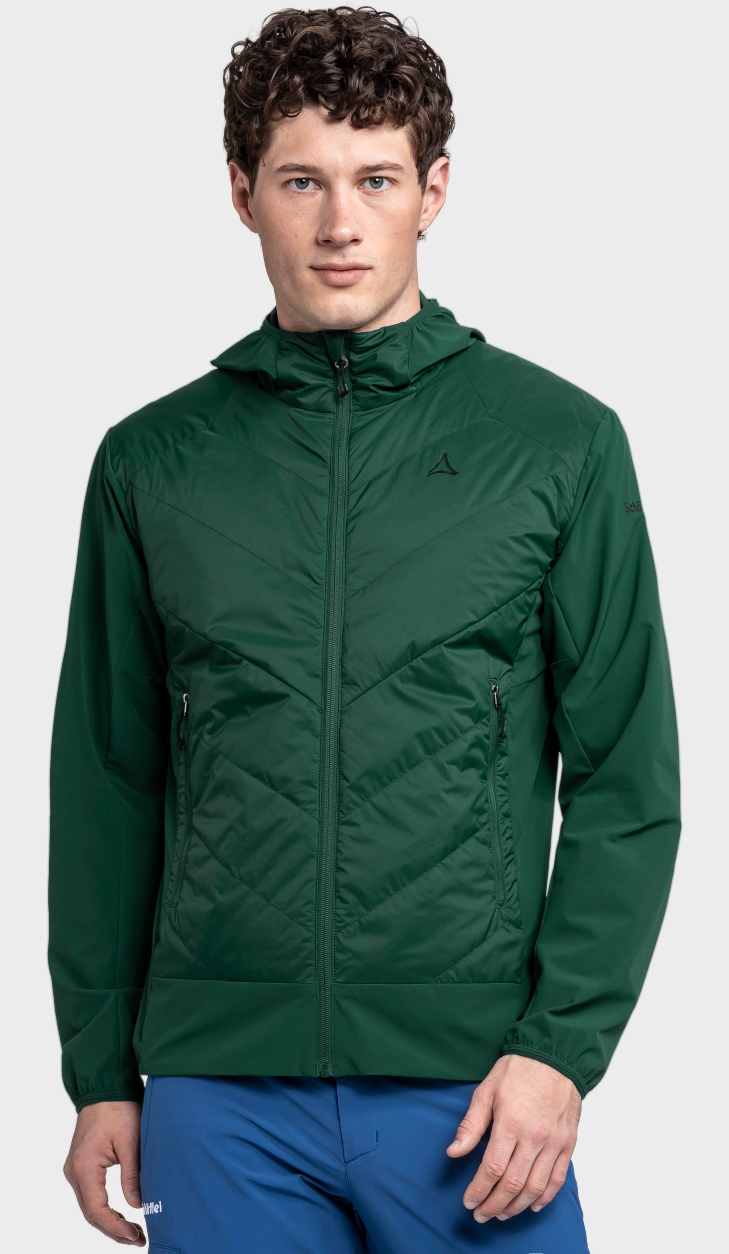 Funktionsjacke SCHÖFFEL "Hybrid Jk Style Blaueis MNS", Herren, Gr. 50, 6995, grün, Oberstoff: 86% Nylon, 14% Elasthan; Oberstoff Vorderteil: 100% Nylon; (Coating: Polyurethan); Futter: 100% Polyester;, regular fit, hoch geschlossener Ausschnitt, Jacken Fu 2