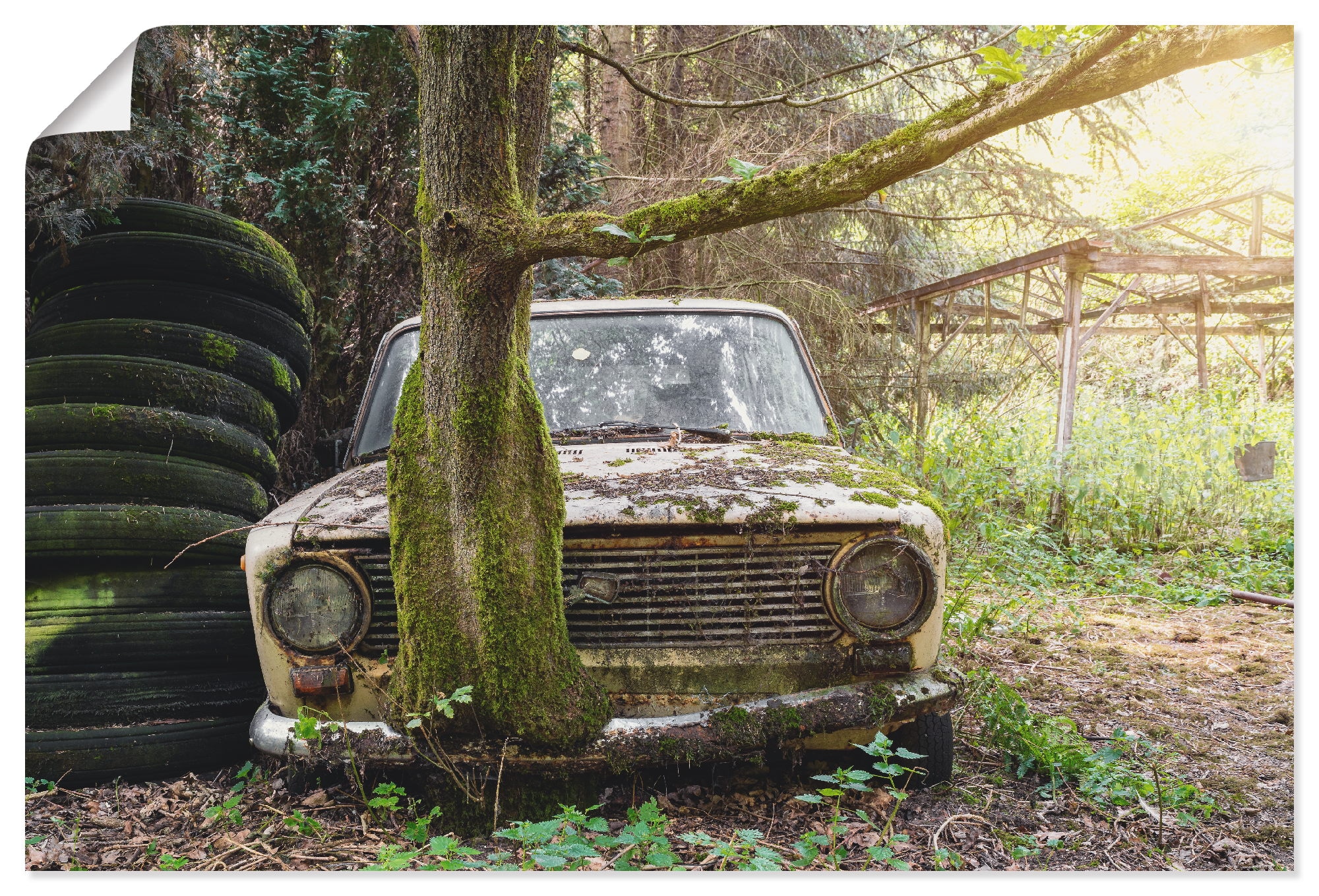 Artland Wandbild »Lost Places - Rostlaube Lada- verlassen«, Auto, (1 St.), als Poster in verschied. Größen