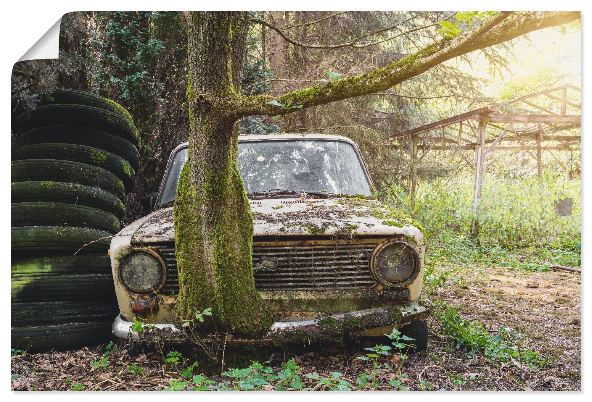 kaufen versch. Auto, in Alubild, Wandaufkleber Wandbild | verlassen«, Places »Lost - Poster Größen Rostlaube St.), Artland Leinwandbild, oder BAUR als Lada- (1