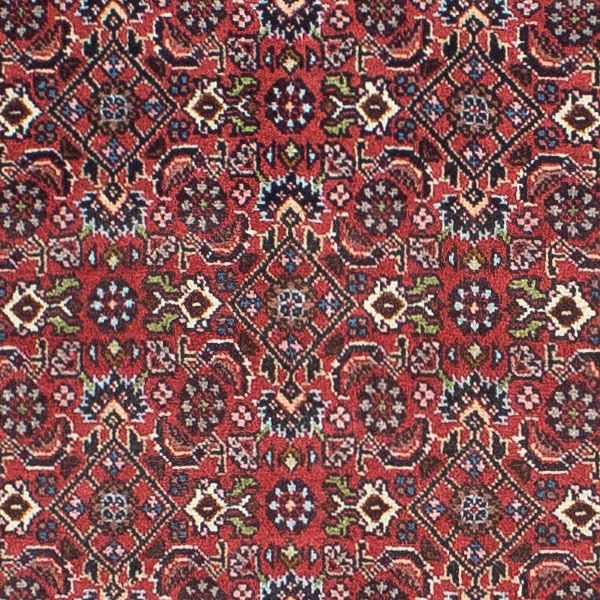 morgenland Orientteppich »Perser - Bidjar - 243 x 68 cm - hellrot«, rechteckig, Wohnzimmer, Handgeknüpft, Einzelstück mit Zertifikat