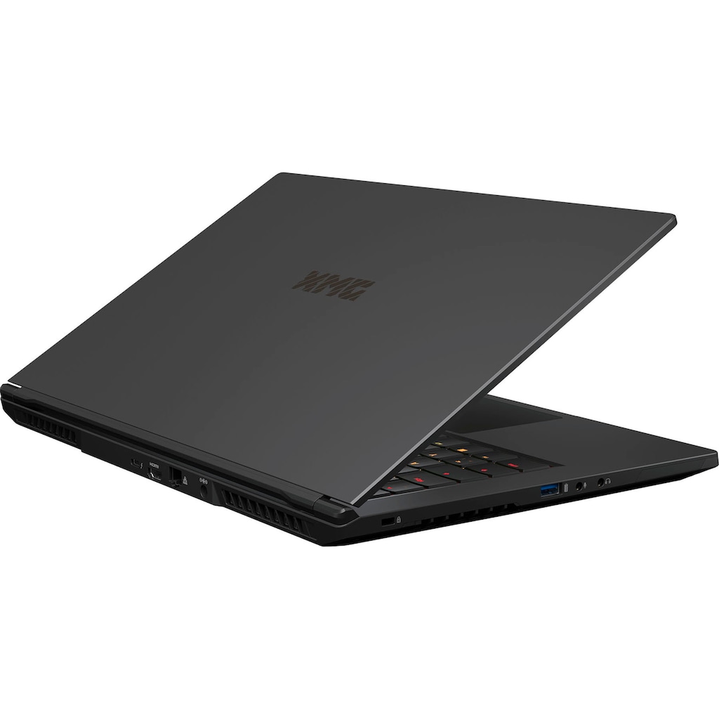 XMG Notebook »FUSION 15-L19«, 39,62 cm, / 15,6 Zoll, Intel, Core i7, GeForce GTX 1660 Ti, 500 GB SSD