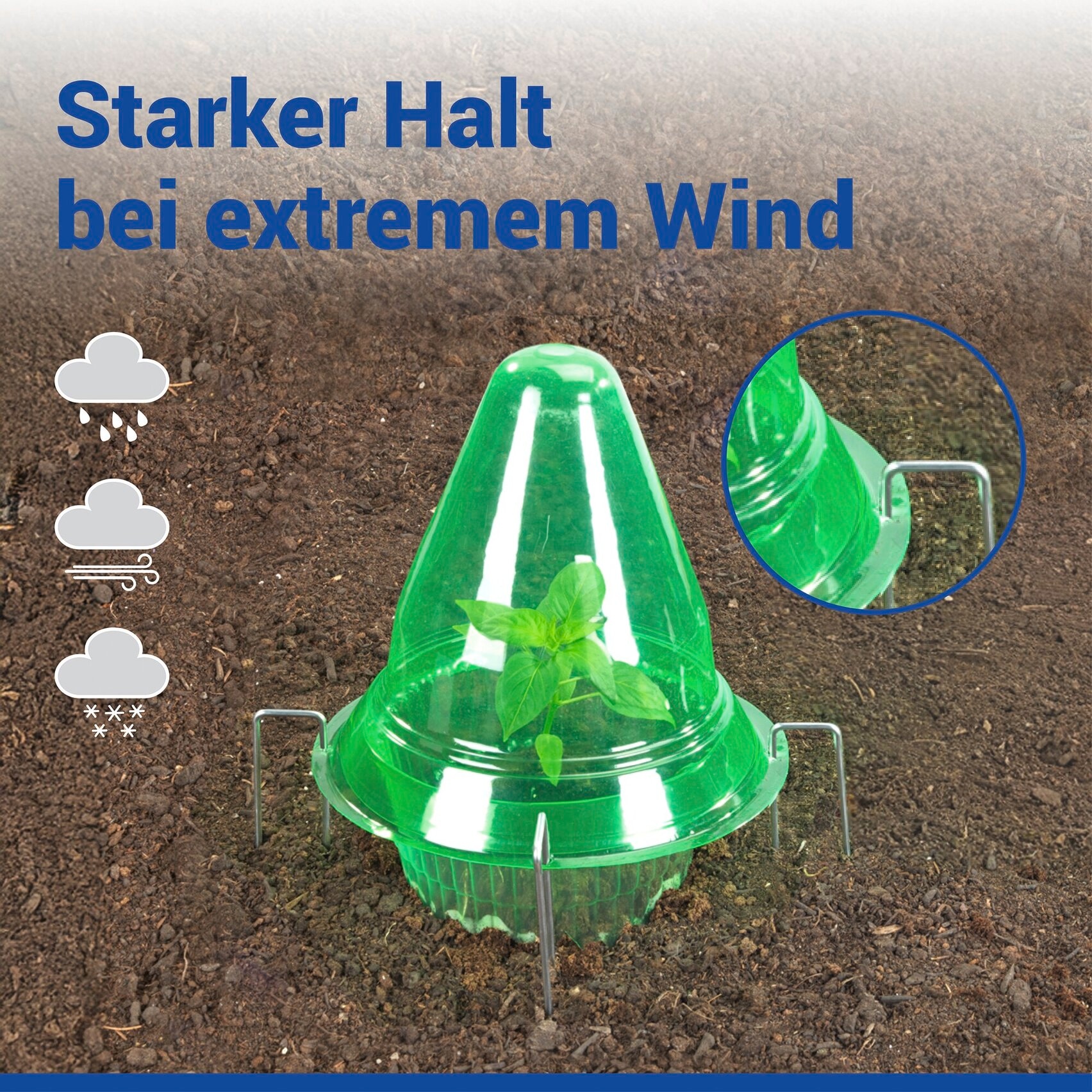 Maximex Pflanzenschutzdach »3 Stück Pflanzendom 3in1« Anzuchtglocke, Schneckenabwehr & Bewässerungsring, für Beet & Hochbeet