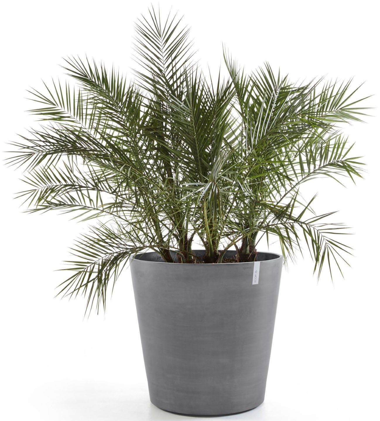 ECOPOTS Blumentopf »Amsterdam mit Rollen 100 Grau« für innen und außen: frostsicher, bruchsicher und lichtbeständig