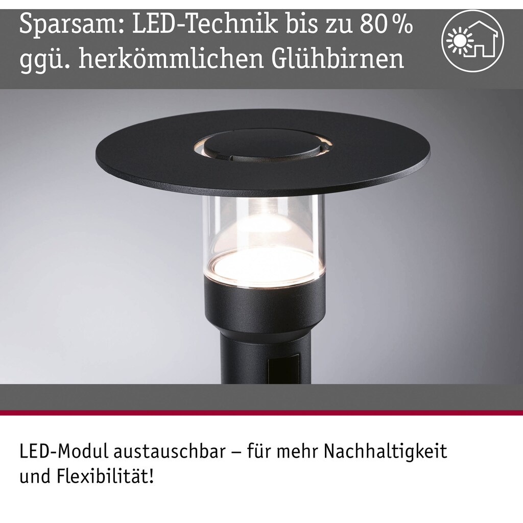 Paulmann LED Gartenleuchte »Sienna 230V Pollerleuchte«, 1 flammig-flammig