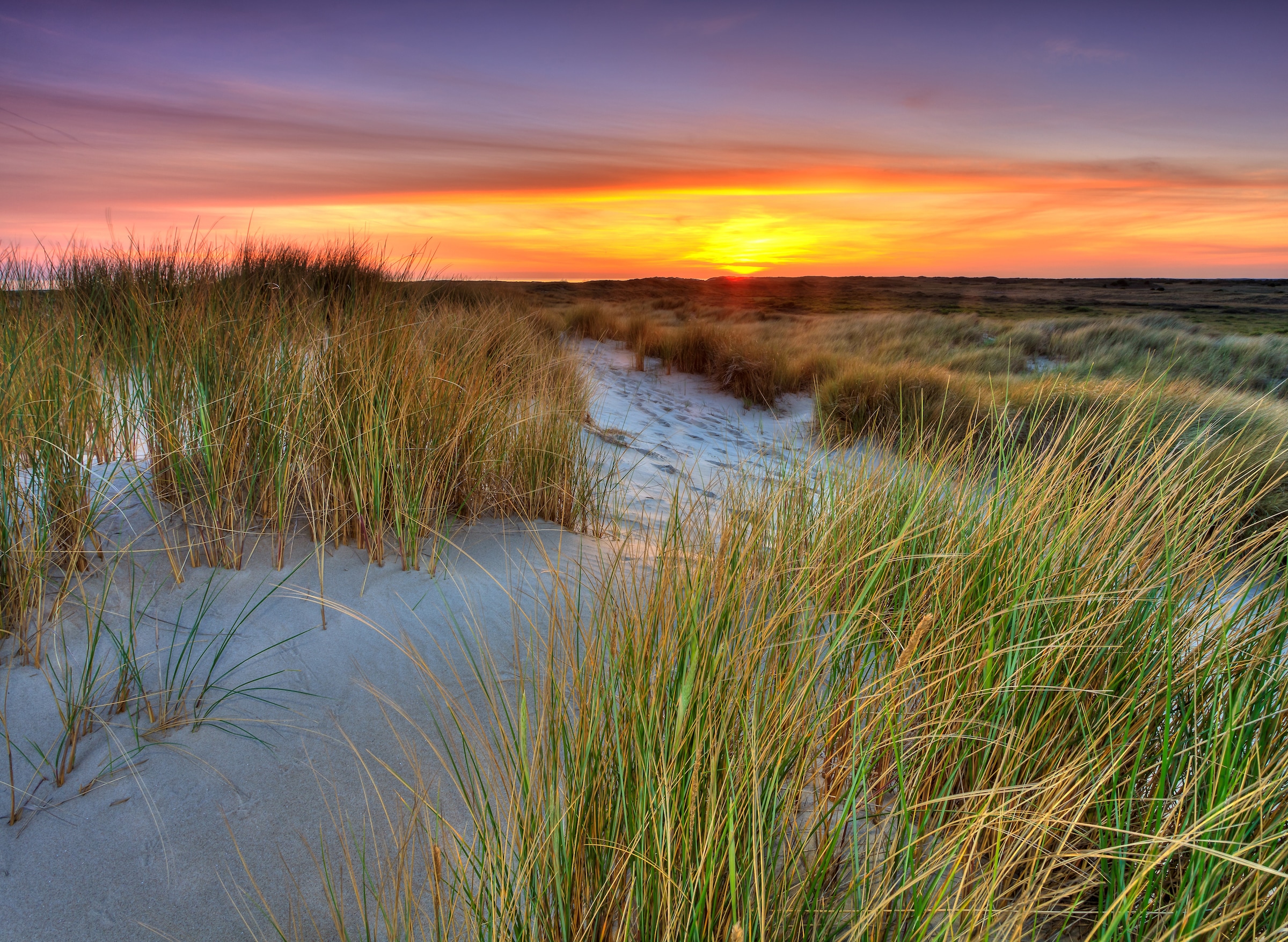 Papermoon Fototapete »Dunes Sunset«