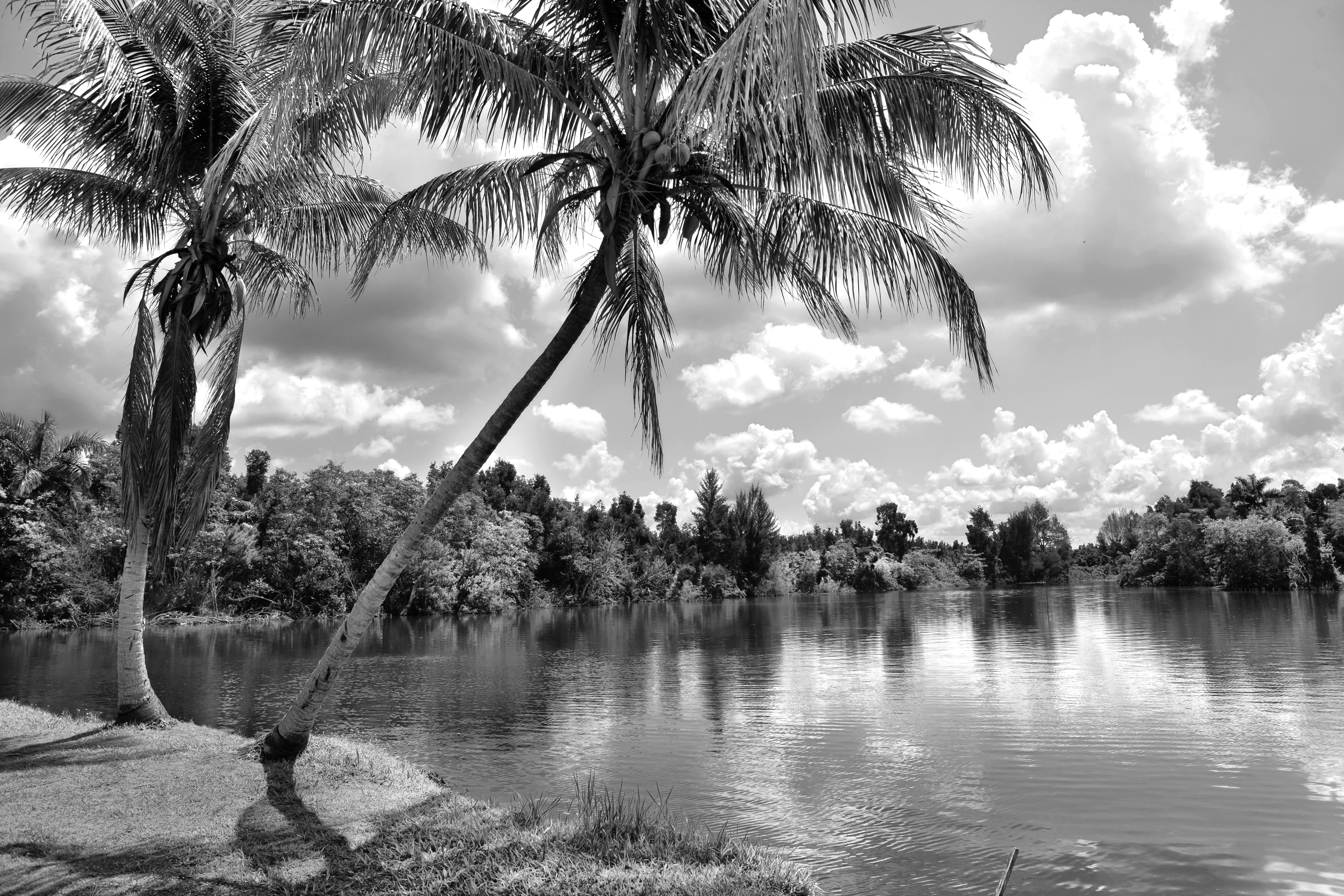 Papermoon Fototapete "Strand Schwarz & Weiß"