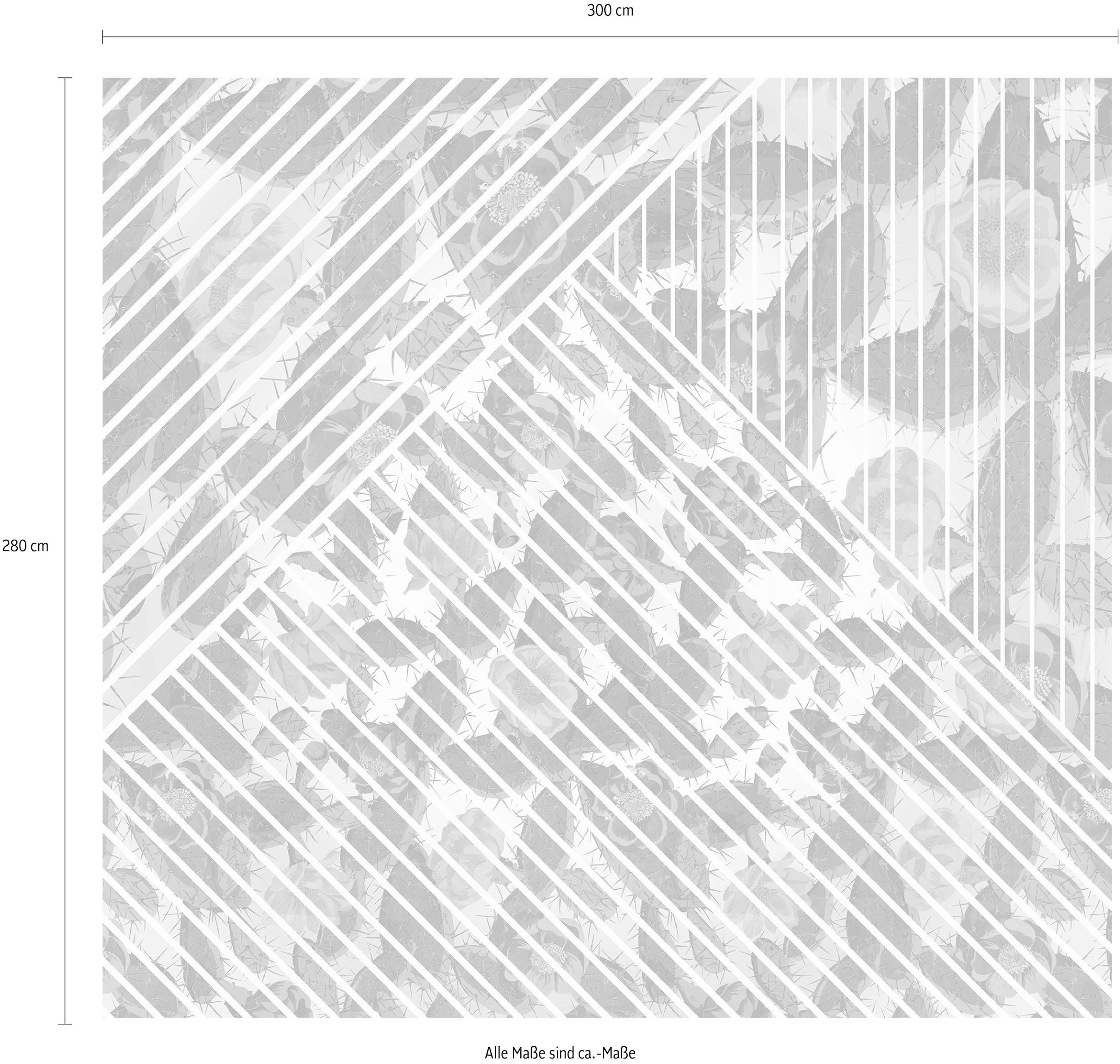Komar Vliestapete »Digitaldruck Vlies - Cactus - Größe 300 x 280 cm«, bedruckt, Wohnzimmer, Schlafzimmer