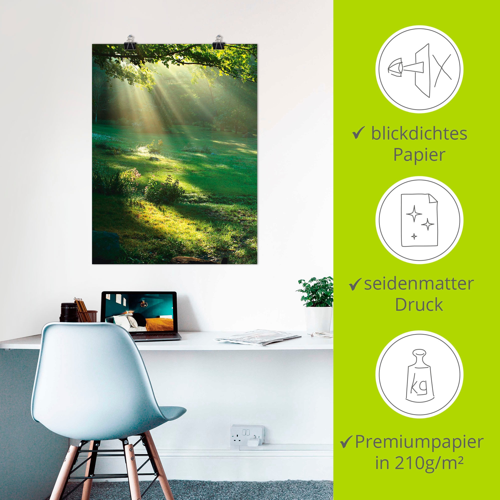 Artland Wandbild »Lichtkegel«, Wald, (1 St.), als Alubild, Outdoorbild, Leinwandbild, Poster, Wandaufkleber