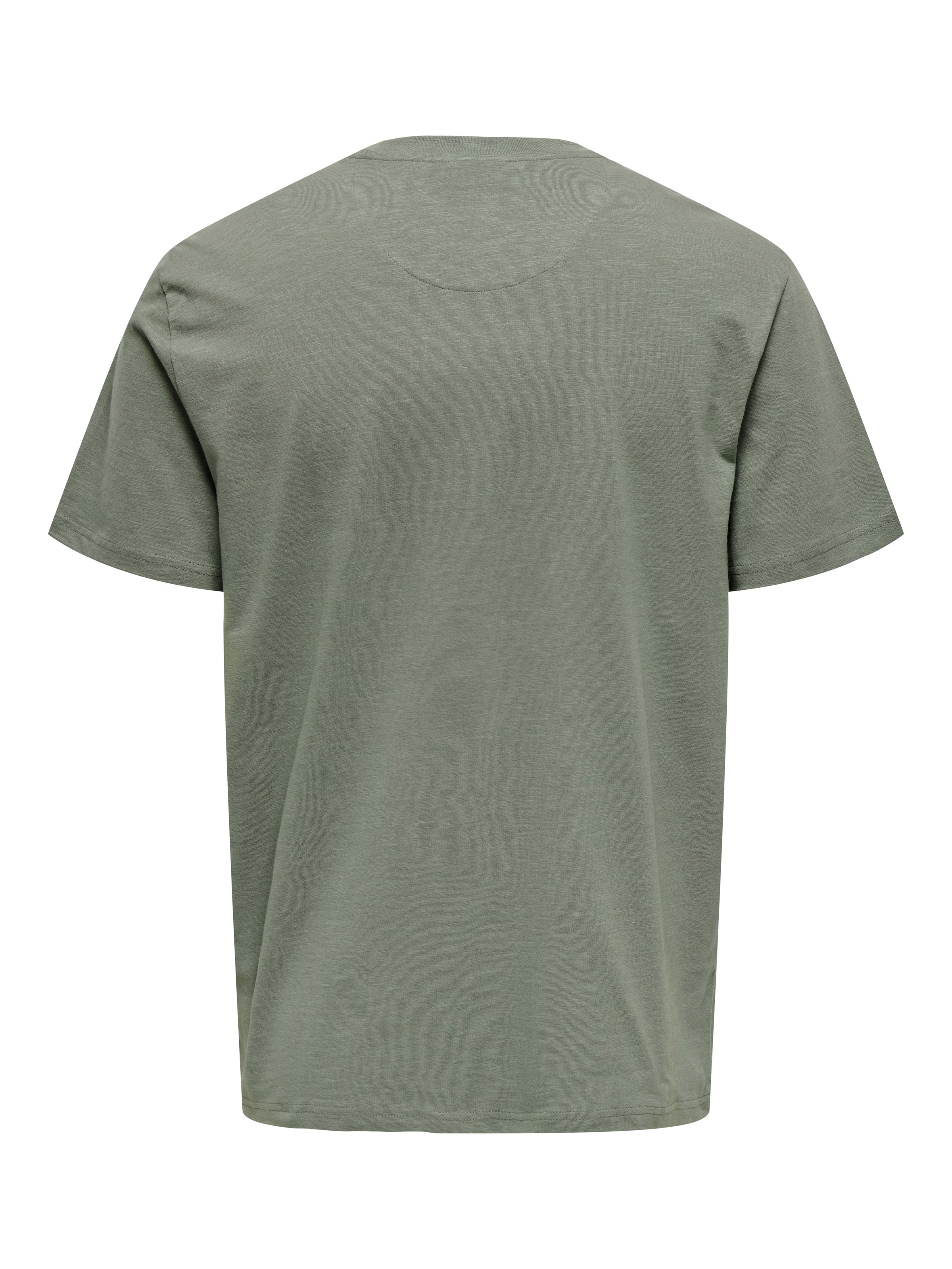 ONLY & SONS Rundhalsshirt »ONSPERRY LIFE REG LEAF POCKETTEE«