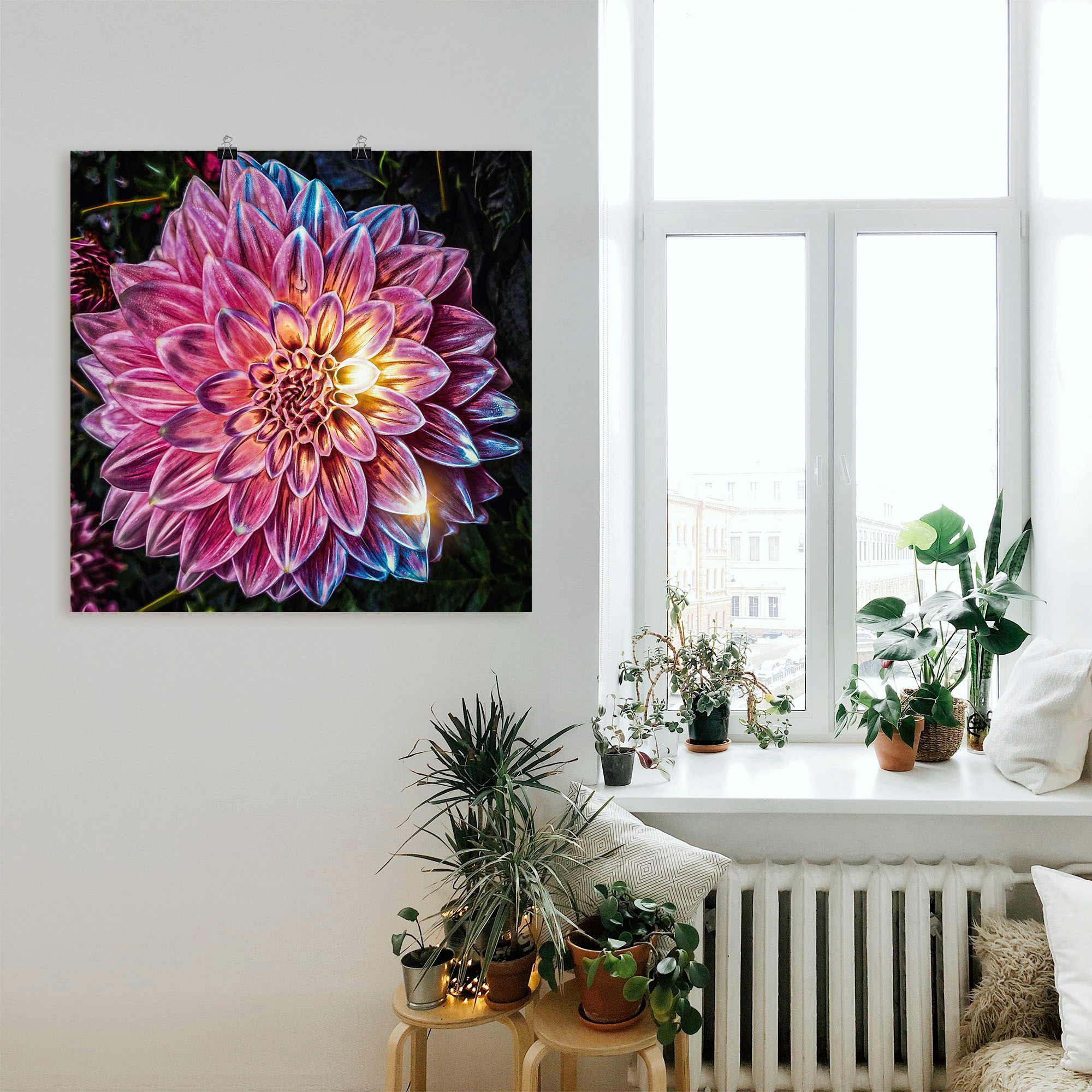 Artland Wandbild »Lila Blüte beleuchtet«, Blumenbilder, (1 St.), als Alubild, Leinwandbild, Wandaufkleber oder Poster in versch. Größen