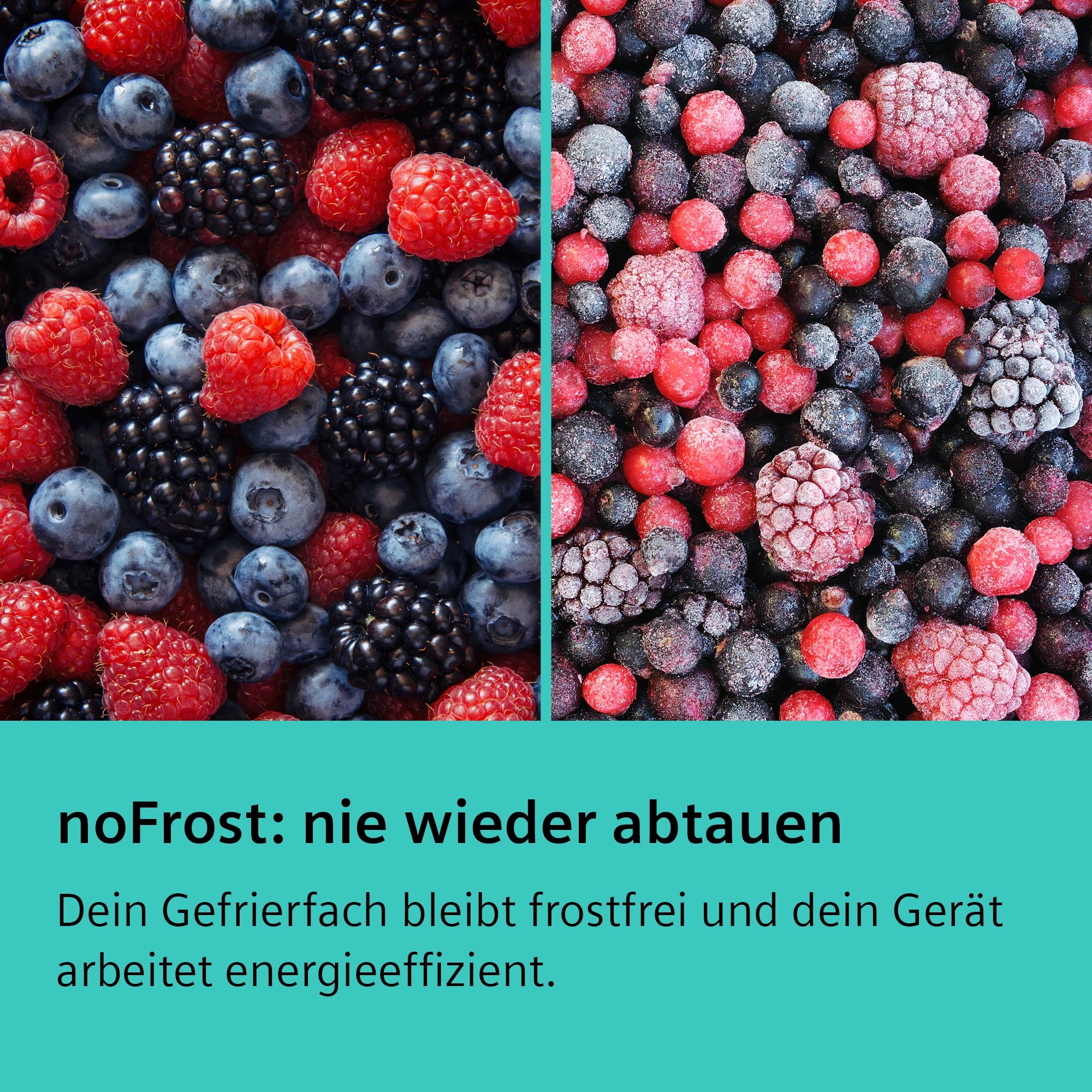 SIEMENS Kühl-/Gefrierkombination "KG49NXIBF" 203 cm hoch 70 cm breit noFros günstig online kaufen