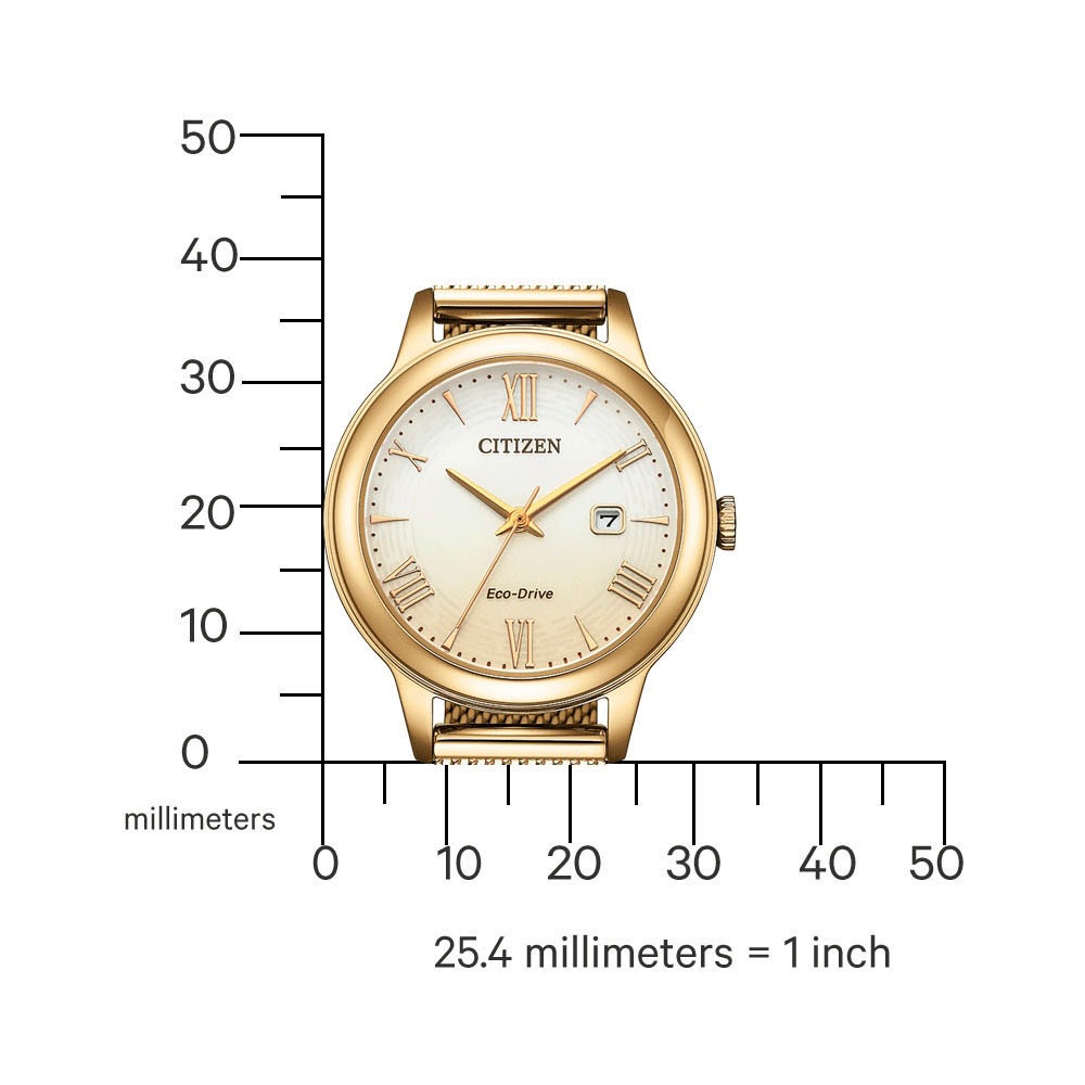 Citizen Solaruhr, Armbanduhr, Damenuhr, Edelstahlarmband, analog, Datum, Eco-Drive