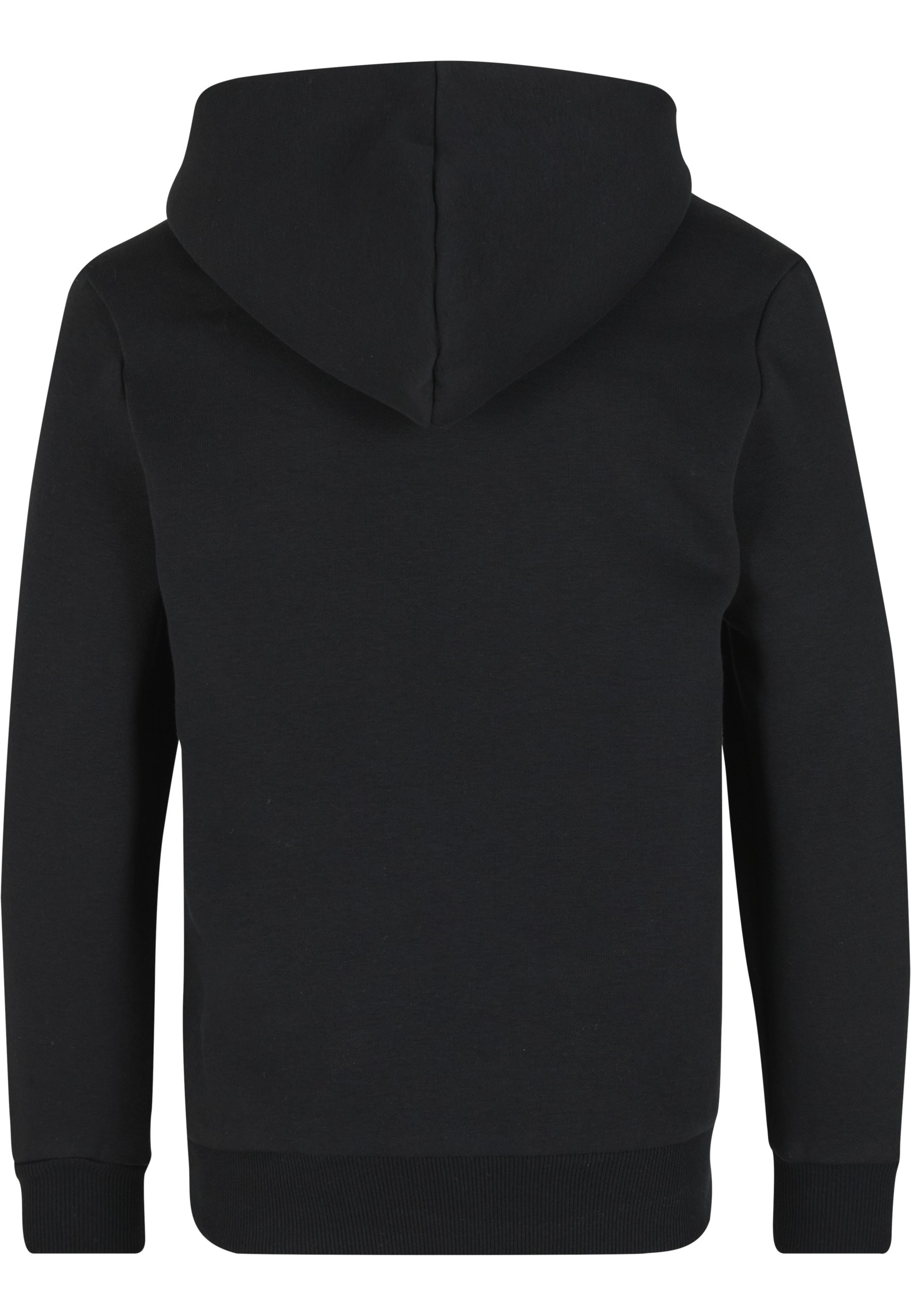 Karl Kani Kapuzenpullover »Karl Kani KC251-005-1 Kani Flames Os Hoodie Junior« 1 tlg.