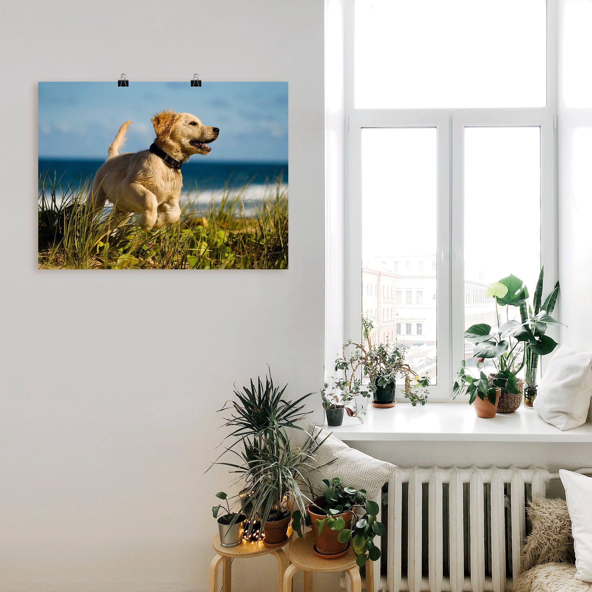 Artland Wandfolie »Hundebaby springt am Strand«, Haustiere, (1 St.), selbstklebend