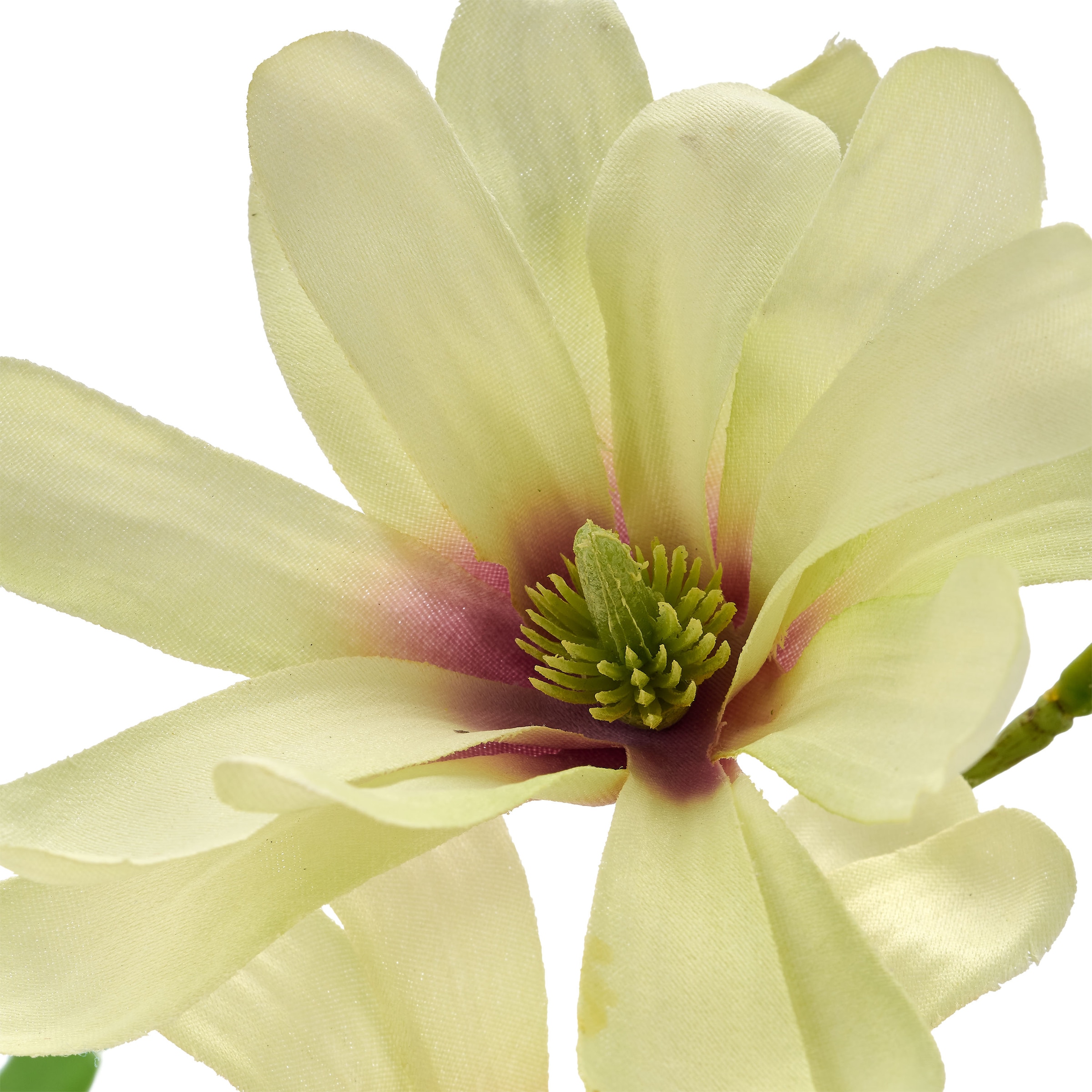 Creativ green Kunstblumenstrauß »Magnolienzweige in Vase« mit traumhaft schönen Blüten