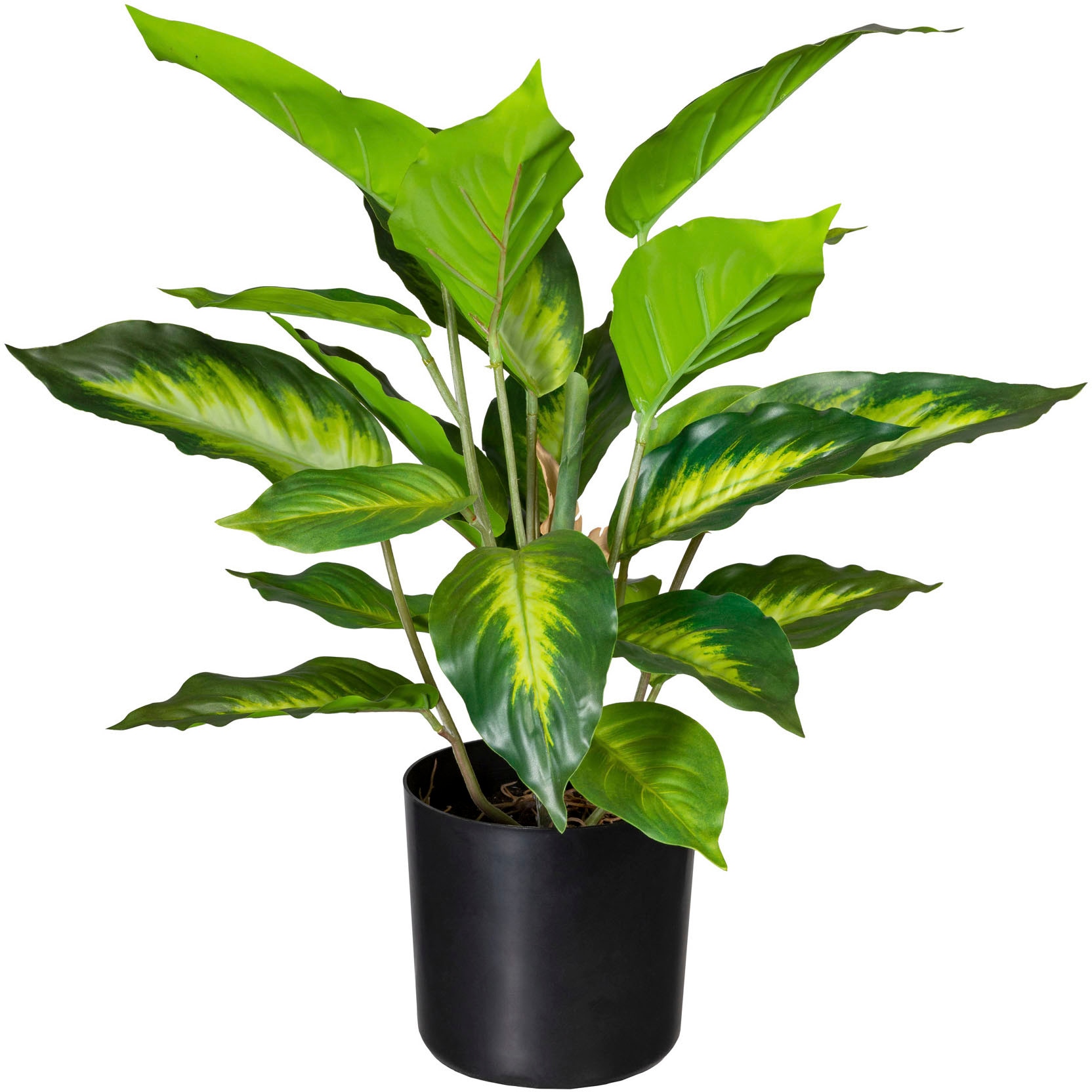 Creativ green Künstliche Zimmerpflanze "Dieffenbachia"