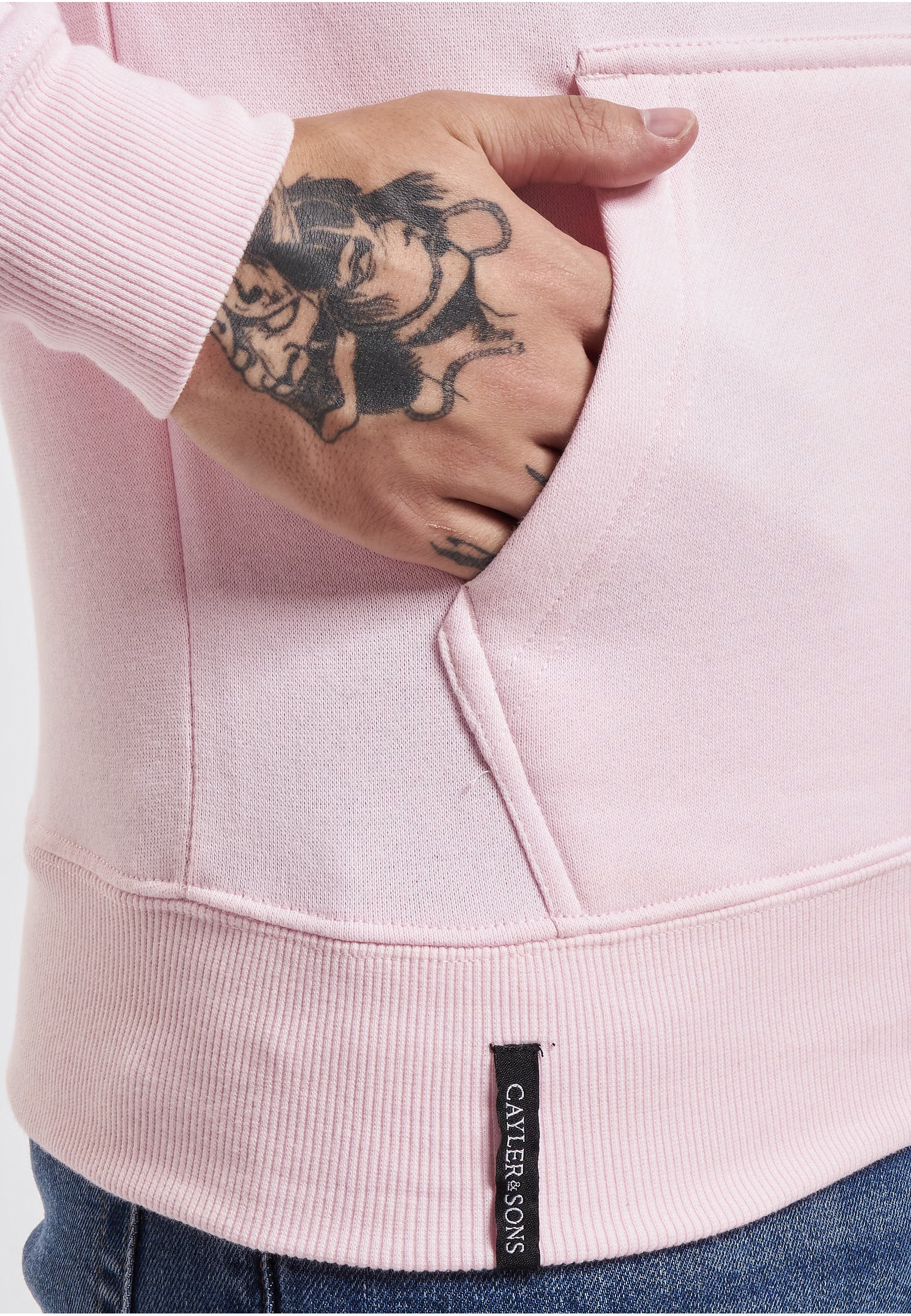 CAYLER & SONS Rundhalspullover »Cayler & Sons Herren WL Compton Card Hoody« 1