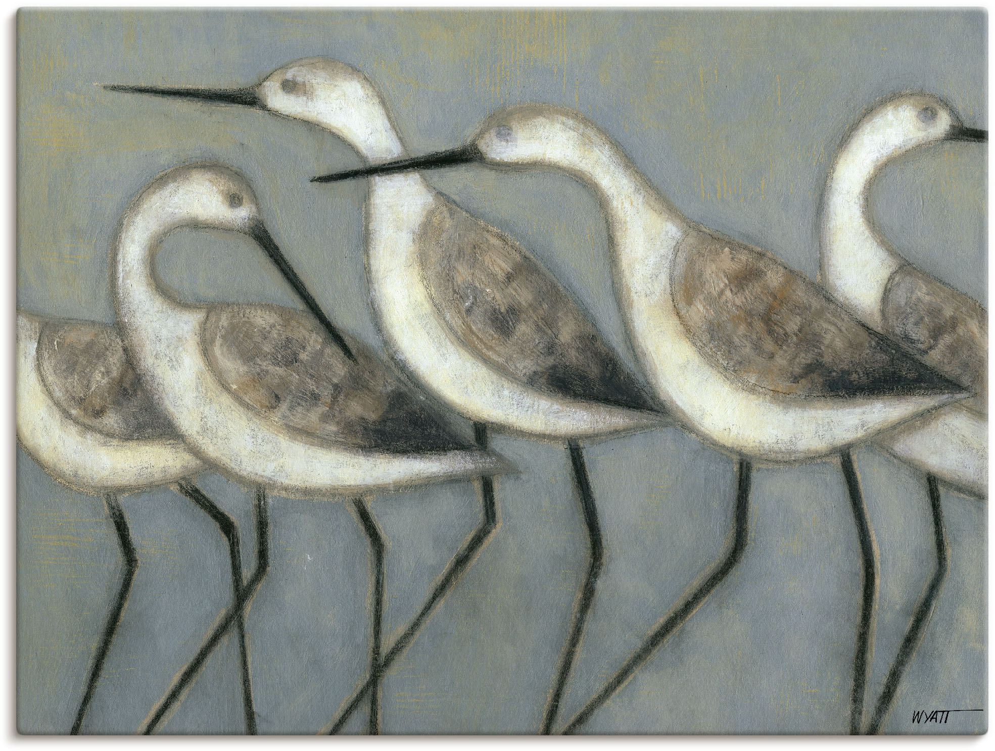 Artland Wandbild "Küstenvögel I" Vögel 1 Stk. tlg. als Leinwandbild, Poster in verschied. Größen
