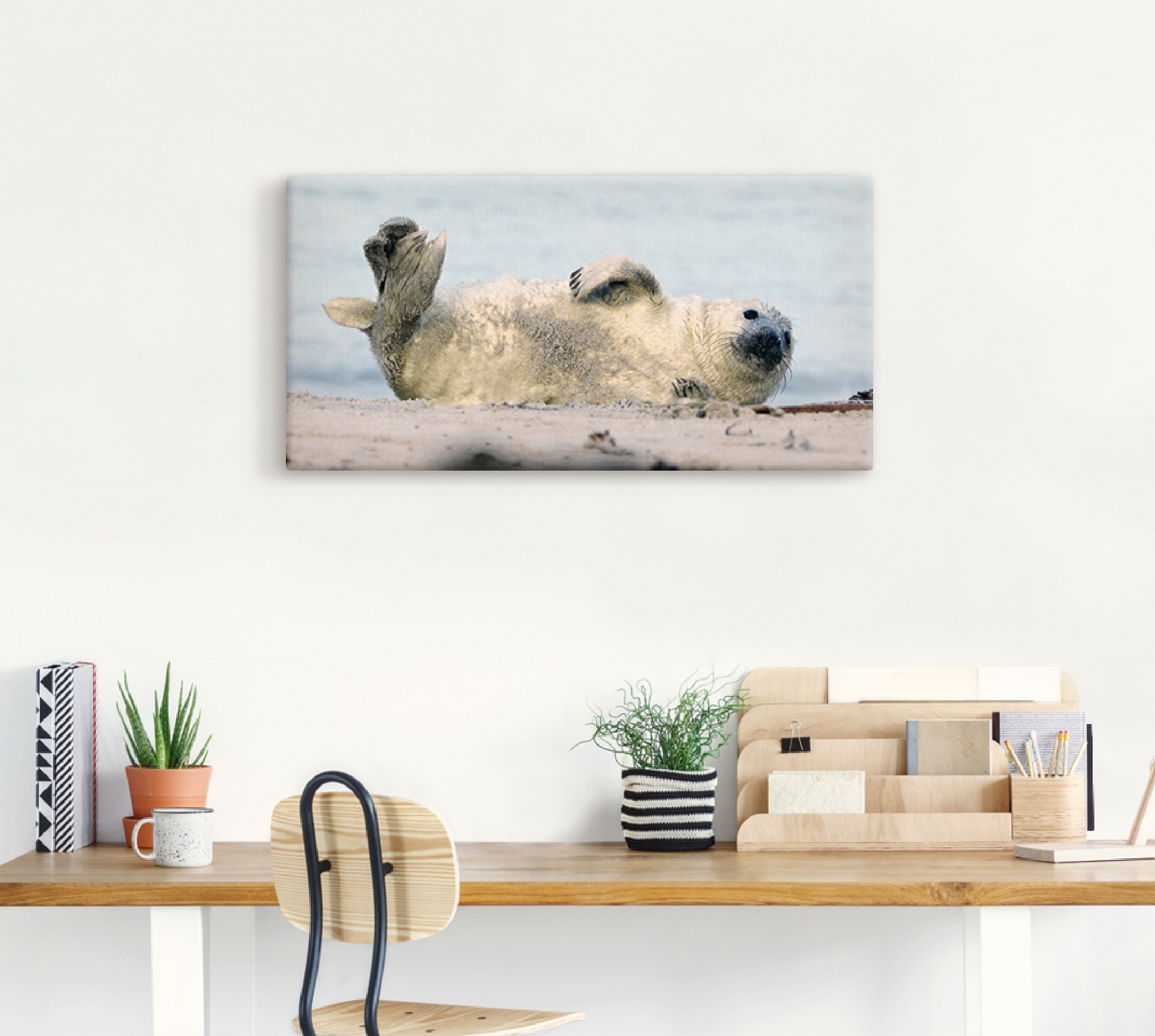 Artland Wandbild »Kegelrobben-Baby II«, Wassertiere, (1 St.), als Alubild, Leinwandbild, Wandaufkleber oder Poster in versch. Größen