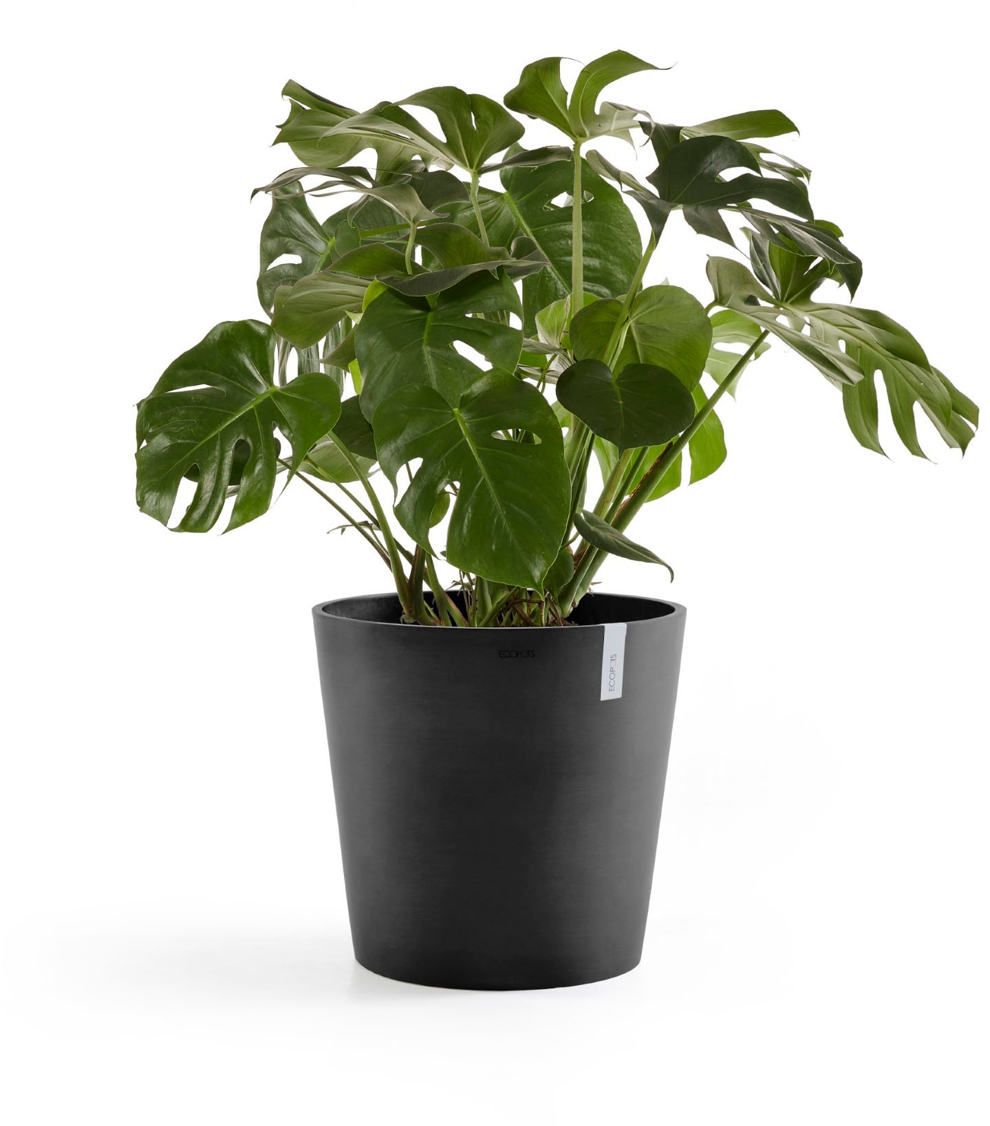 ECOPOTS Blumentopf »AMSTERDAM Dark Grey« BxTxH: 50x50x43,8 cm, mit Wasserreservoir