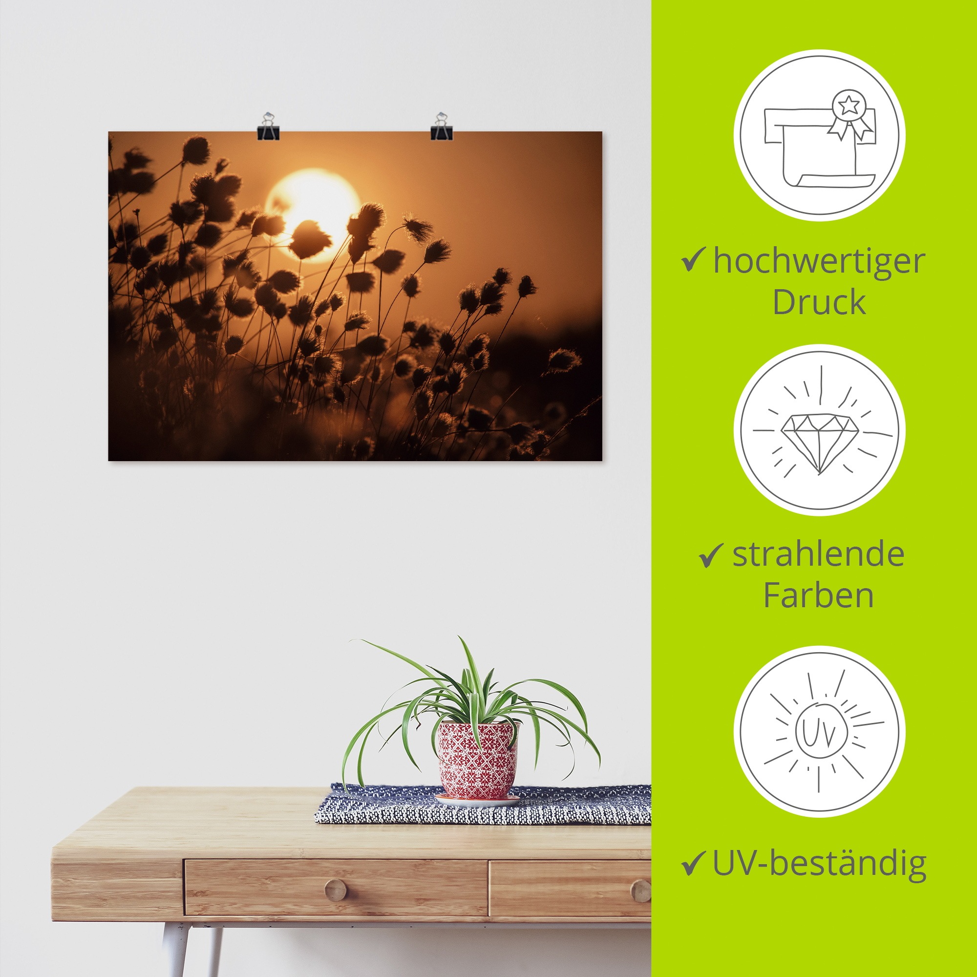 Artland Wandbild »Abendsonne - Tanz des Wollgrases« Gräser 1 Stk. tlg. als Alubild, Leinwandbild, Poster, Wandaufkleber in verschied. Größen
