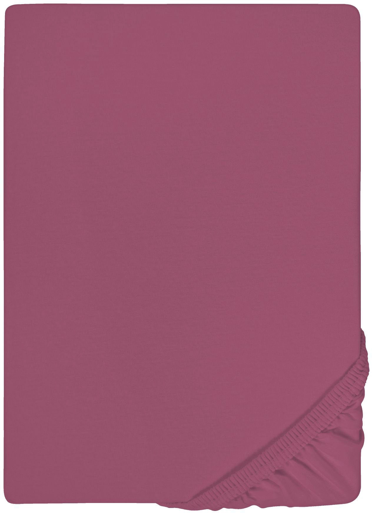 Biberna Spannbettlaken "0077866 Deluxe Jersey-Elastic Spannbetttuch 97% Baumwolle" Jersey mit Elasthan, Rundumgummi, bügelfrei, ab Größe 90 x 190 cm i