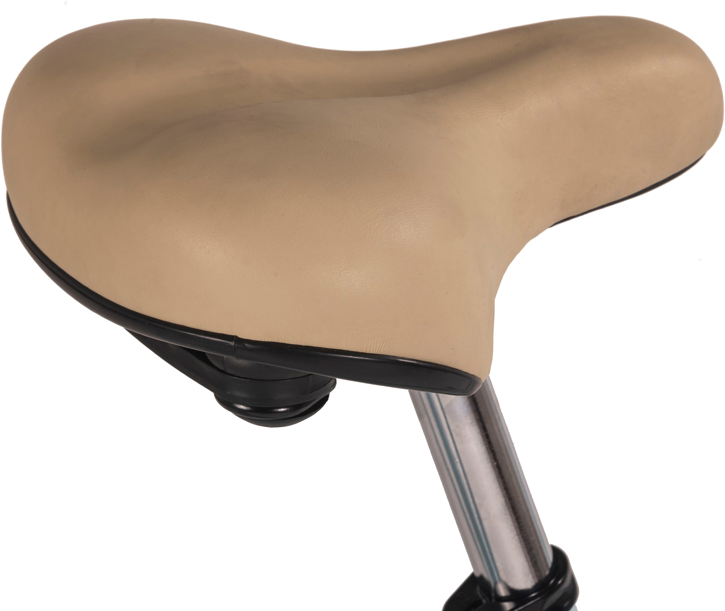 Hollandia Hollandrad »Hollandrad 28'' Rivel blau 3 Gänge Nabenschaltung RH 54 cm«, 3 Gang, Shimano, Nexus Schaltwerk, Nabenschaltung