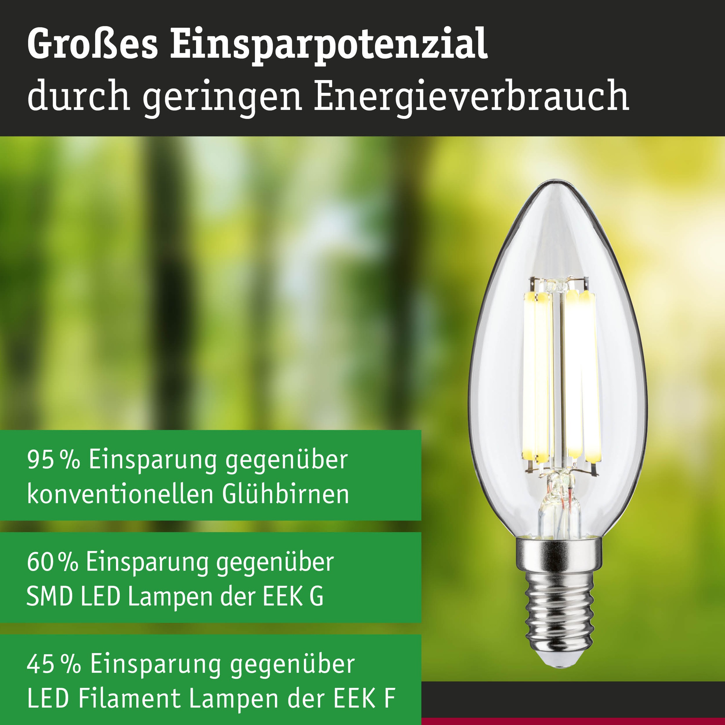 Paulmann LED-Leuchtmittel »Efficient-Line Filament 230V LED Kerze E14 1 St. 525lm 2,5W 4000K Klar« E14 1 Stk. Neutralweiß