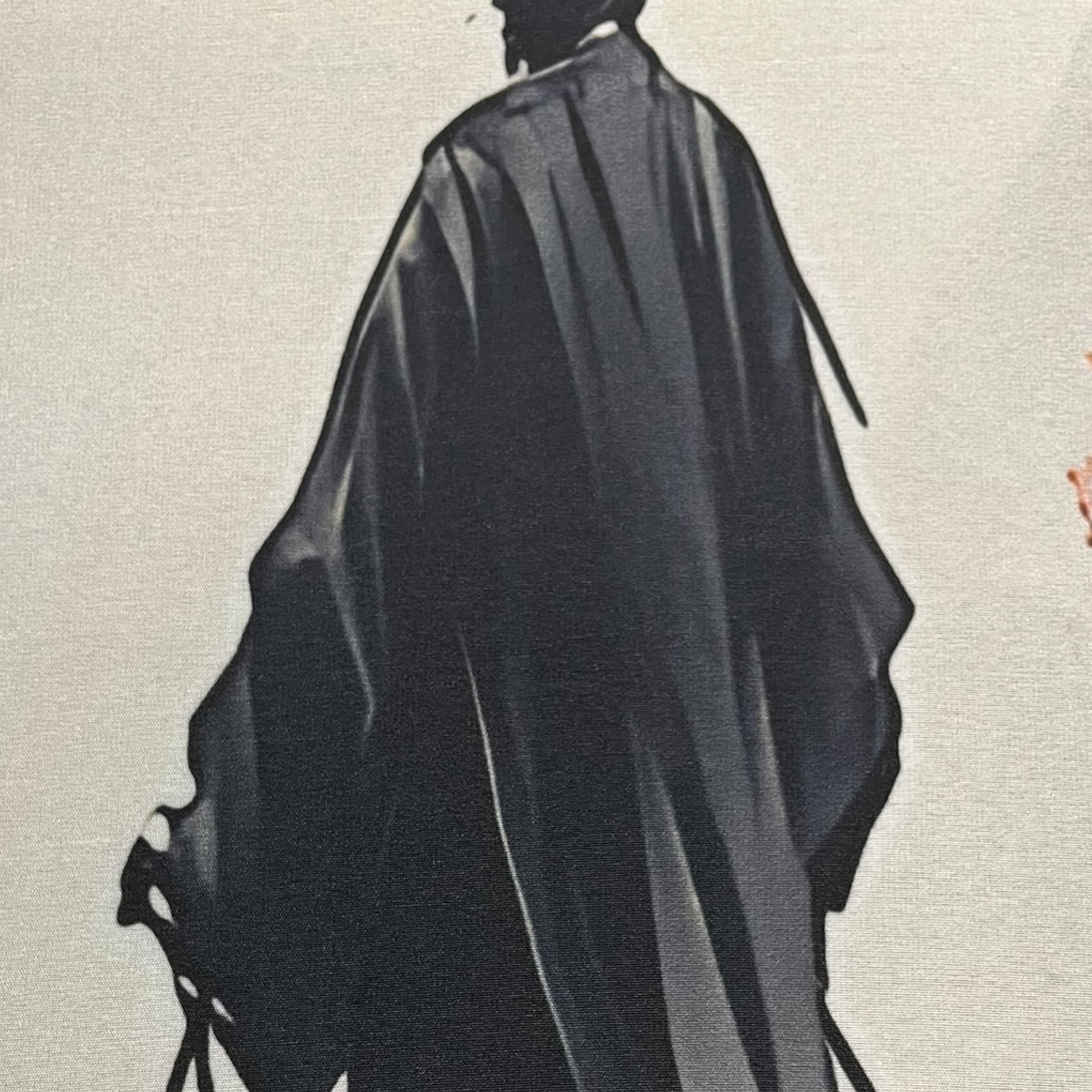 HOME WOHNIDEEN Schiebegardine »SAKURA« Paneelwagen 1 Stk. tlg. digital bedruckt