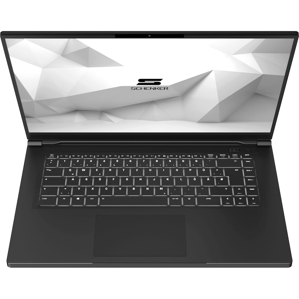 Schenker Notebook »VIA 15 Pro - M20ydb«, 39,62 cm, / 15,6 Zoll, AMD, Ryzen 7, Radeon RX Vega 7, 500 GB SSD