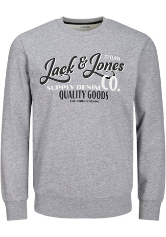 Jack & Jones Sweatshirt »JJ JJANDY SWEAT CREW NECK« kaufen