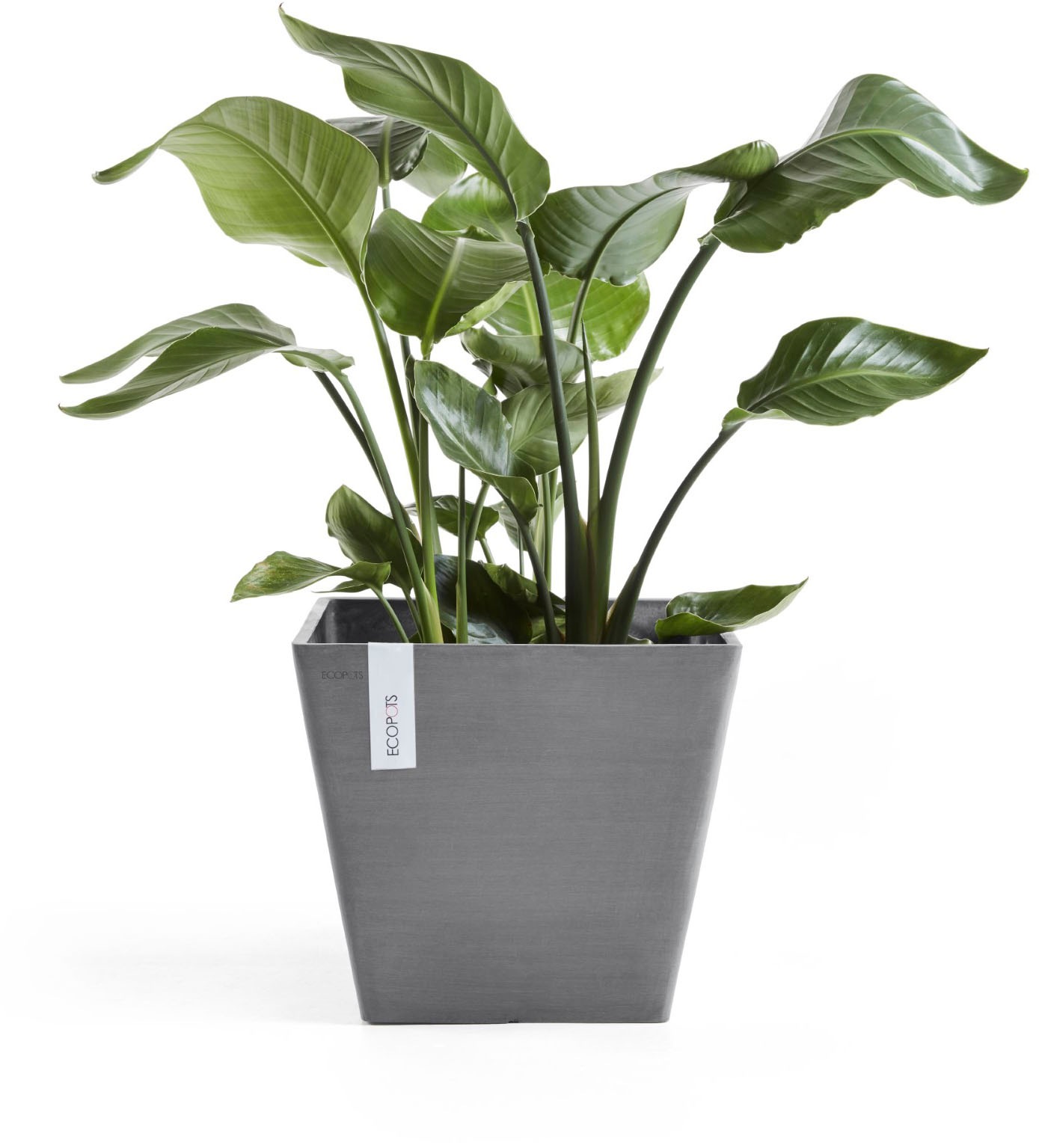 ECOPOTS Blumentopf »ROTTERDAM Grey« BxTxH: 40x40x35 cm