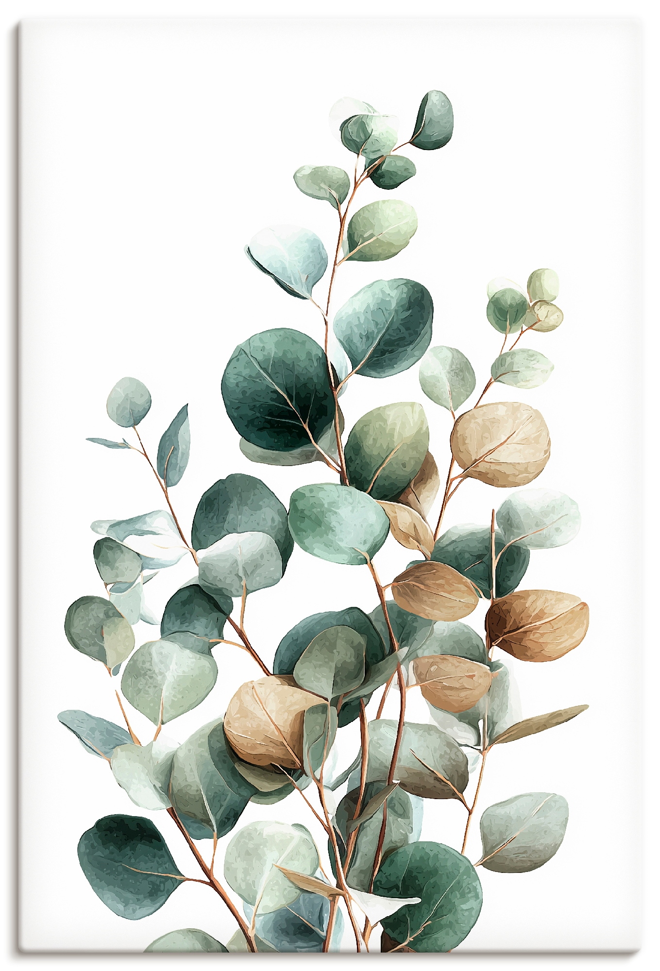 Artland Wandbild "Eukalyptus" Blätterbilder 1 Stk. tlg. als Alubild, Leinwandbild, Poster, Wandaufkleber in verschied. Größen