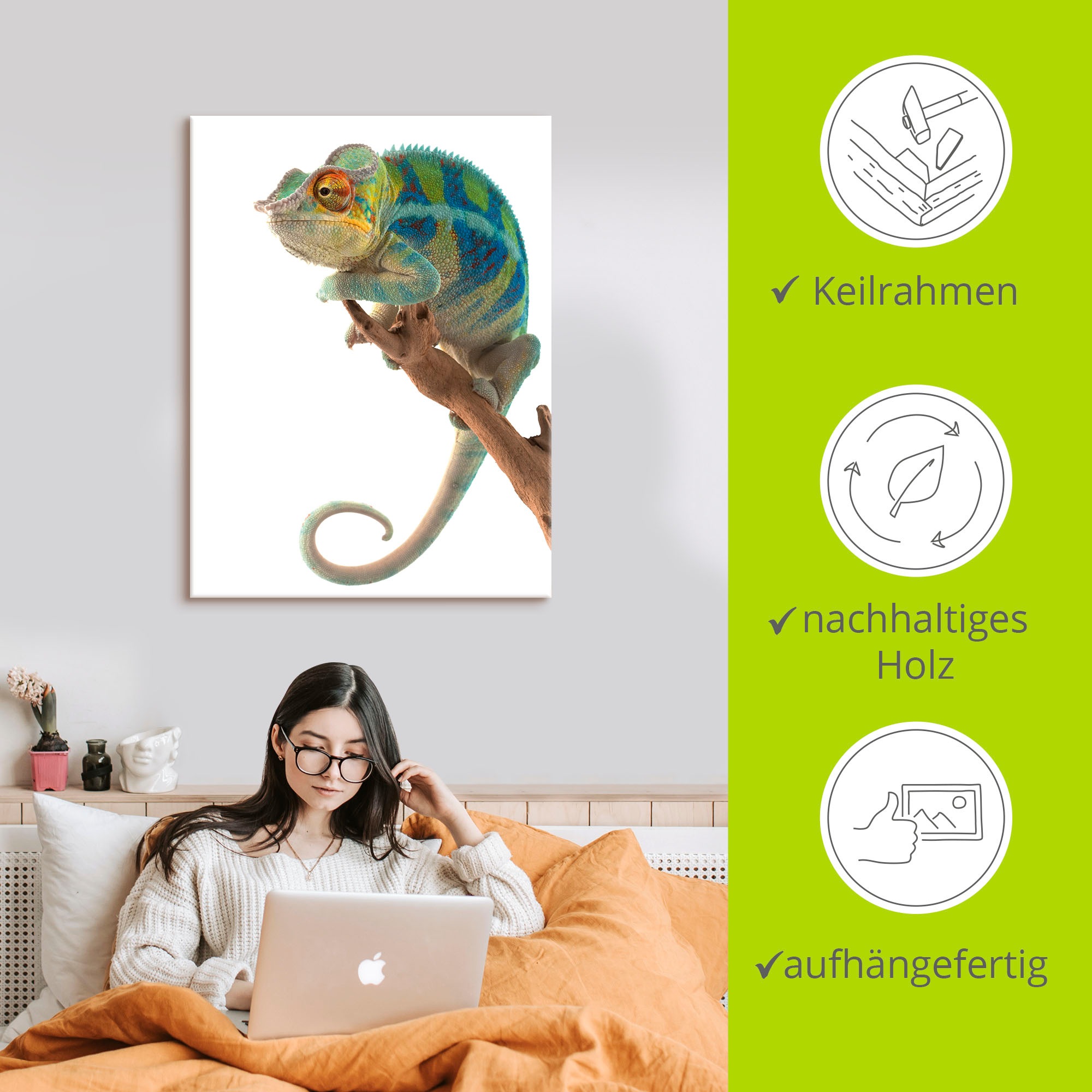 Artland Wandbild »Ambanja Panther Chamäleon« Reptilien 1 Stk. tlg. als Leinwandbild, Poster in verschied. Größen