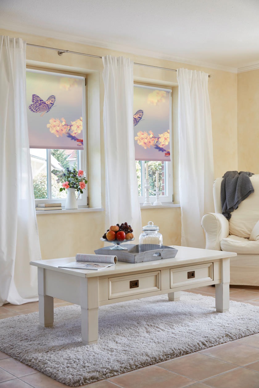 LICHTBLICK ORIGINAL Seitenzugrollo "Rollo Klemmfix, ohne Bohren, Verdunkelu günstig online kaufen