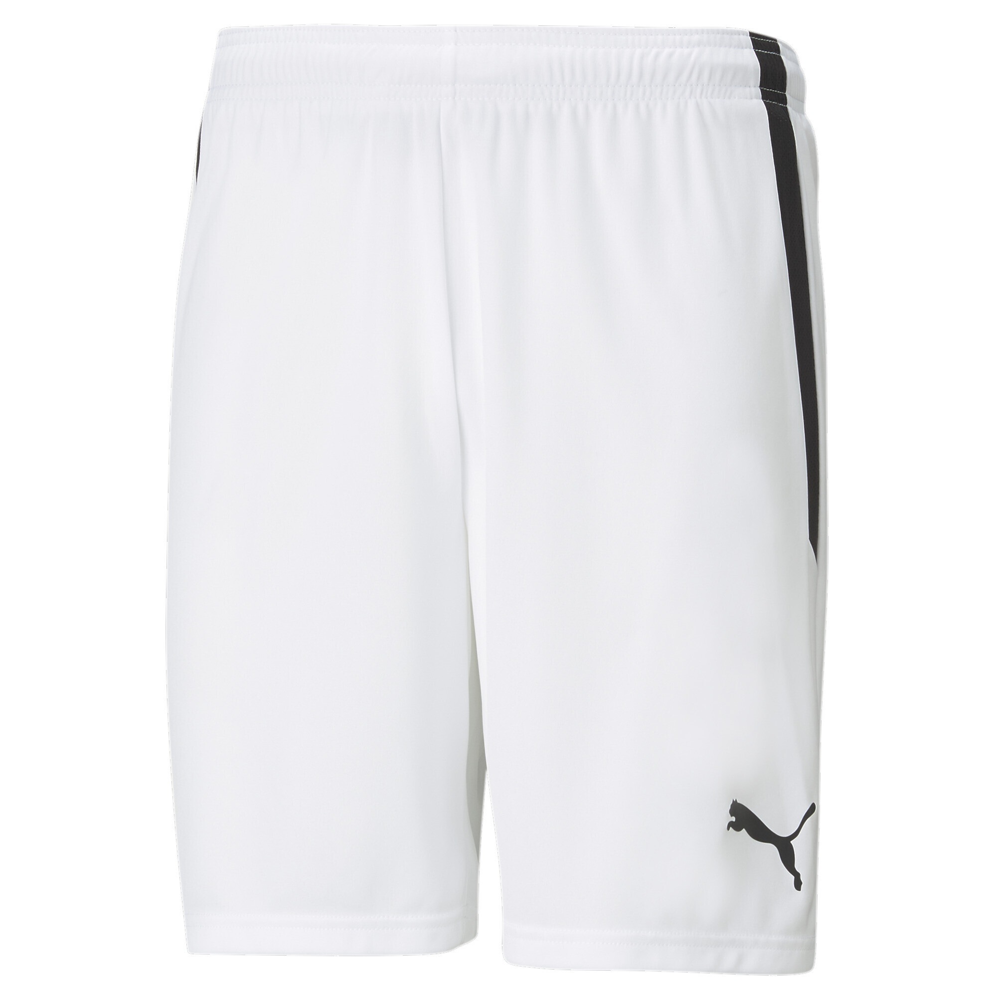 PUMA Sporthose »teamLIGA Fußballshorts Herren«