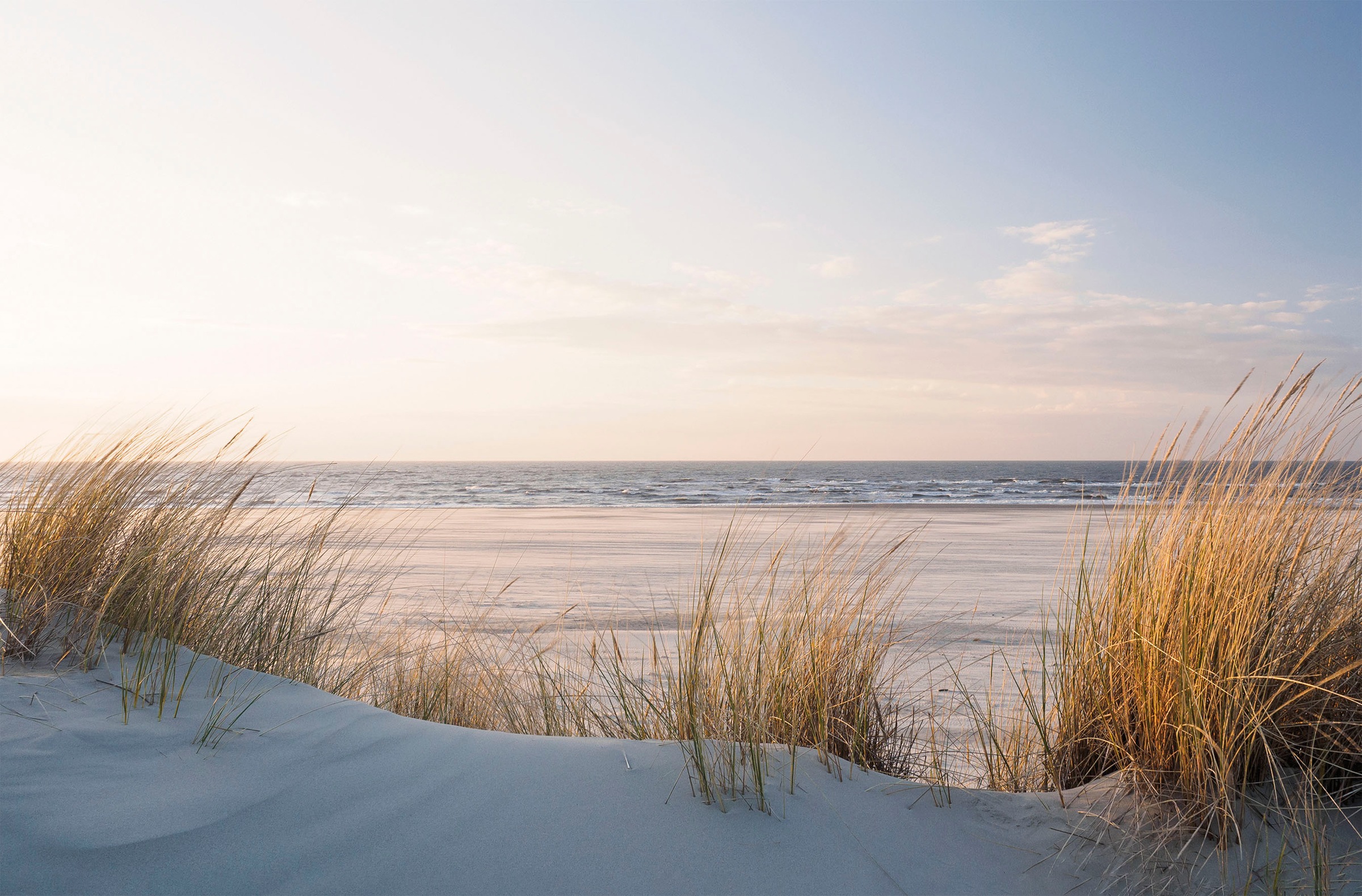 Bönninghoff Leinwandbild "Wandbild DÜNEN, STRAND UND MEER 78x118 cm – Leinwandbild Keilrahmen" Düne Strand 1 Stk. tlg. auf Keilrahmen gespannt