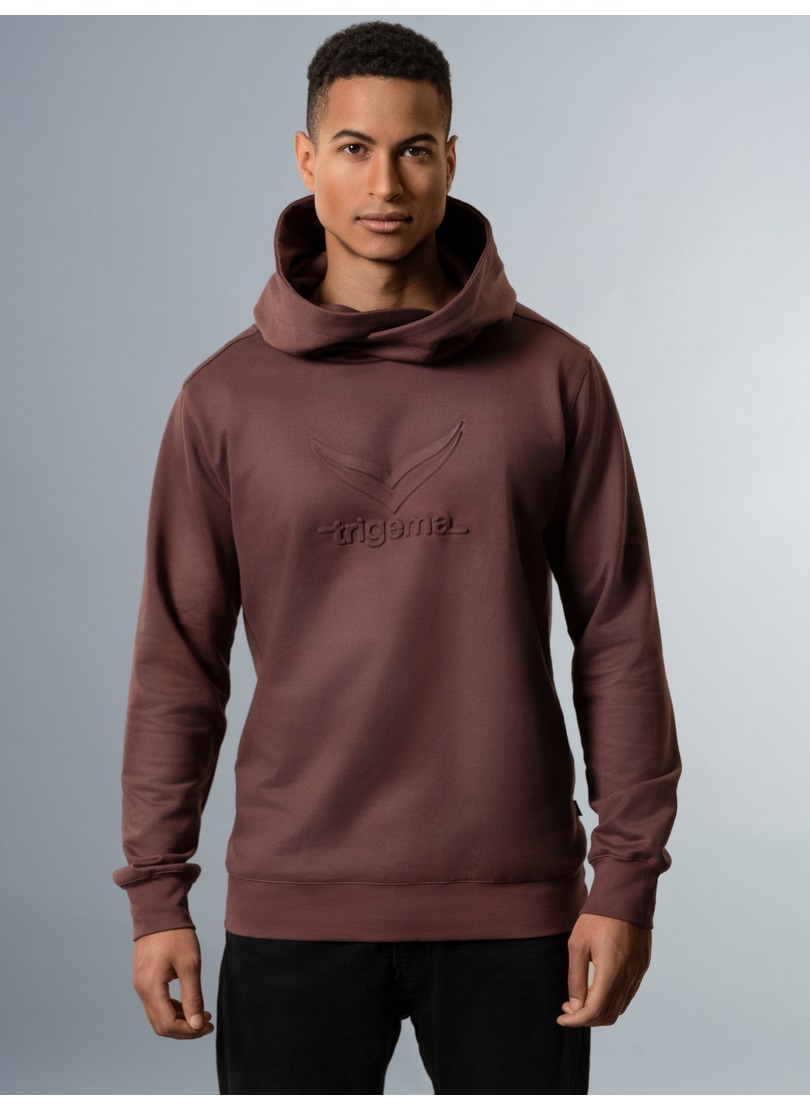 Kapuzensweatshirt »TRIGEMA Kapuzenpullover mit großem 3D-Motiv«